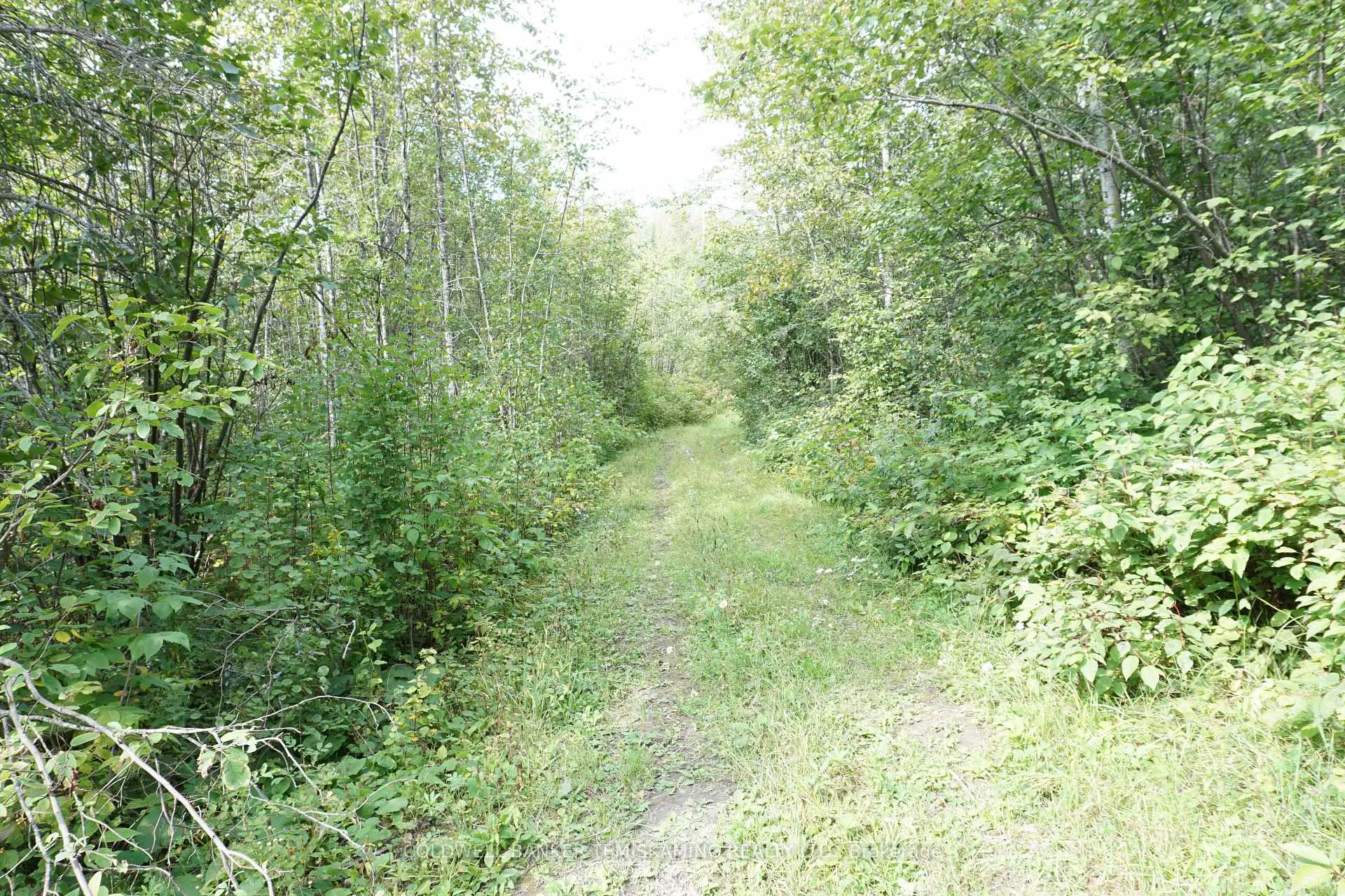 Photo 28 of Lot 1 Campbell'S Road, Timiskaming, TIM - Outside - Rural — HOMEH