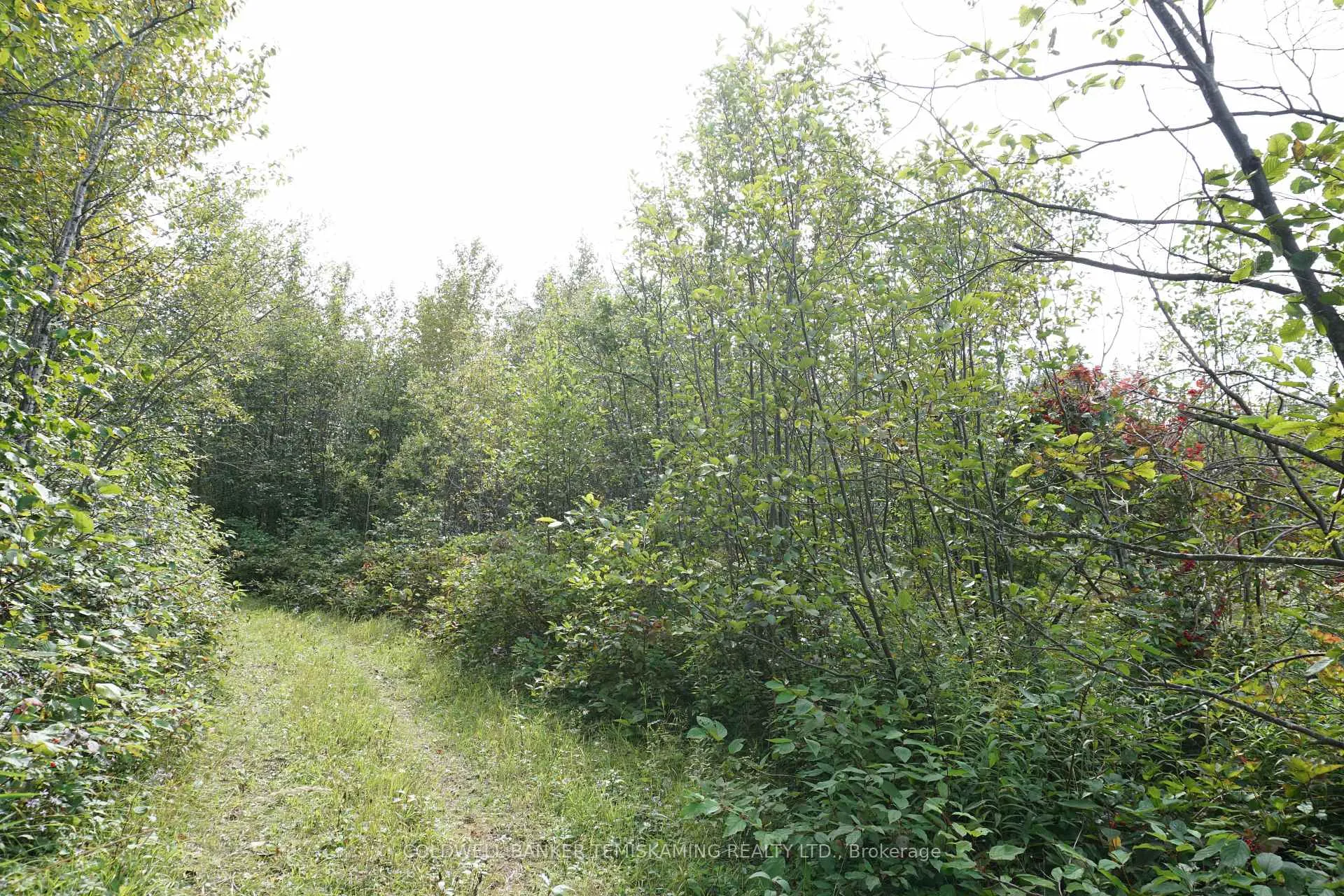 Photo 29 of Lot 1 Campbell'S Road, Timiskaming, TIM - Outside - Rural — HOMEH