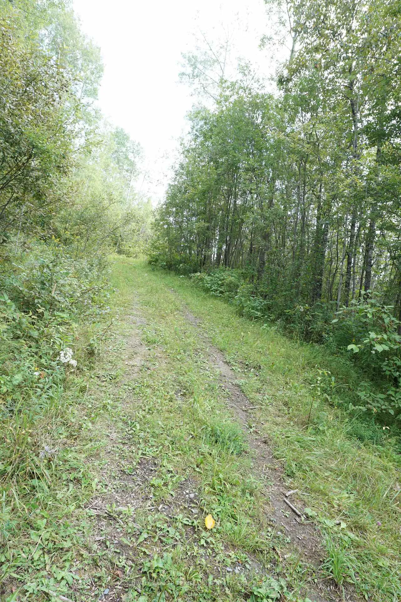 Photo 30 of Lot 1 Campbell'S Road, Timiskaming, TIM - Outside - Rural — HOMEH