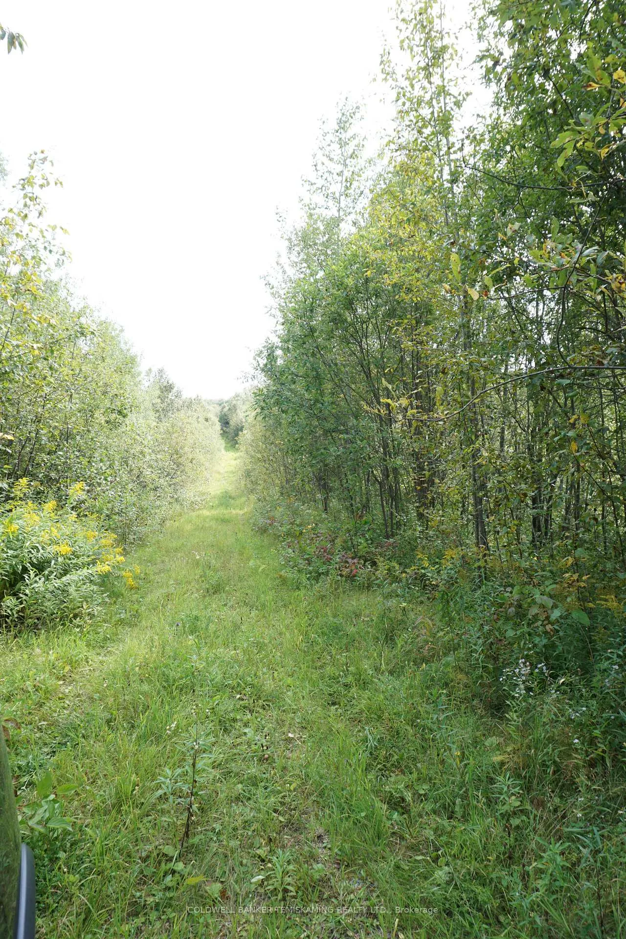Photo 31 of Lot 1 Campbell'S Road, Timiskaming, TIM - Outside - Rural — HOMEH