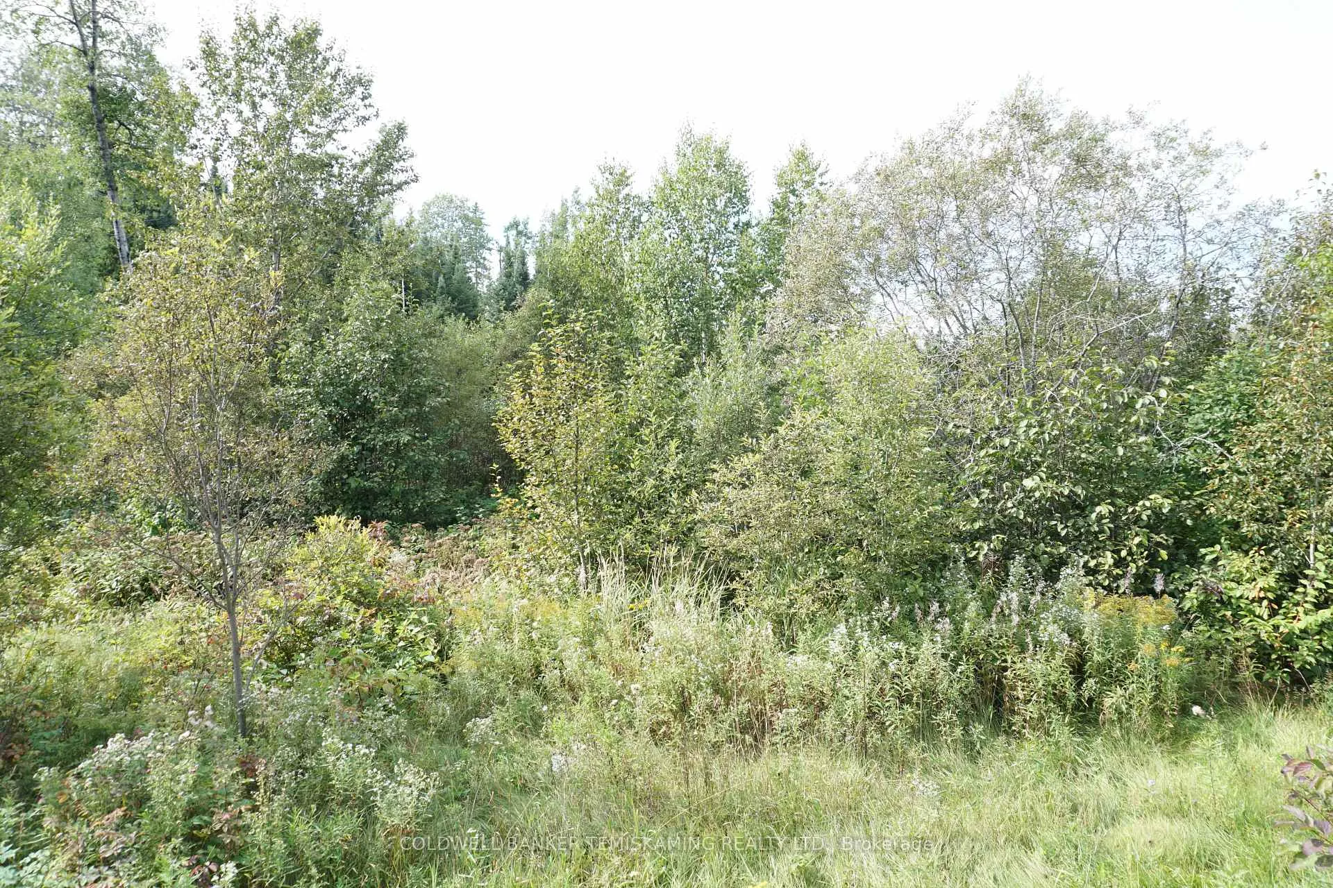 Photo 32 of Lot 1 Campbell'S Road, Timiskaming, TIM - Outside - Rural — HOMEH