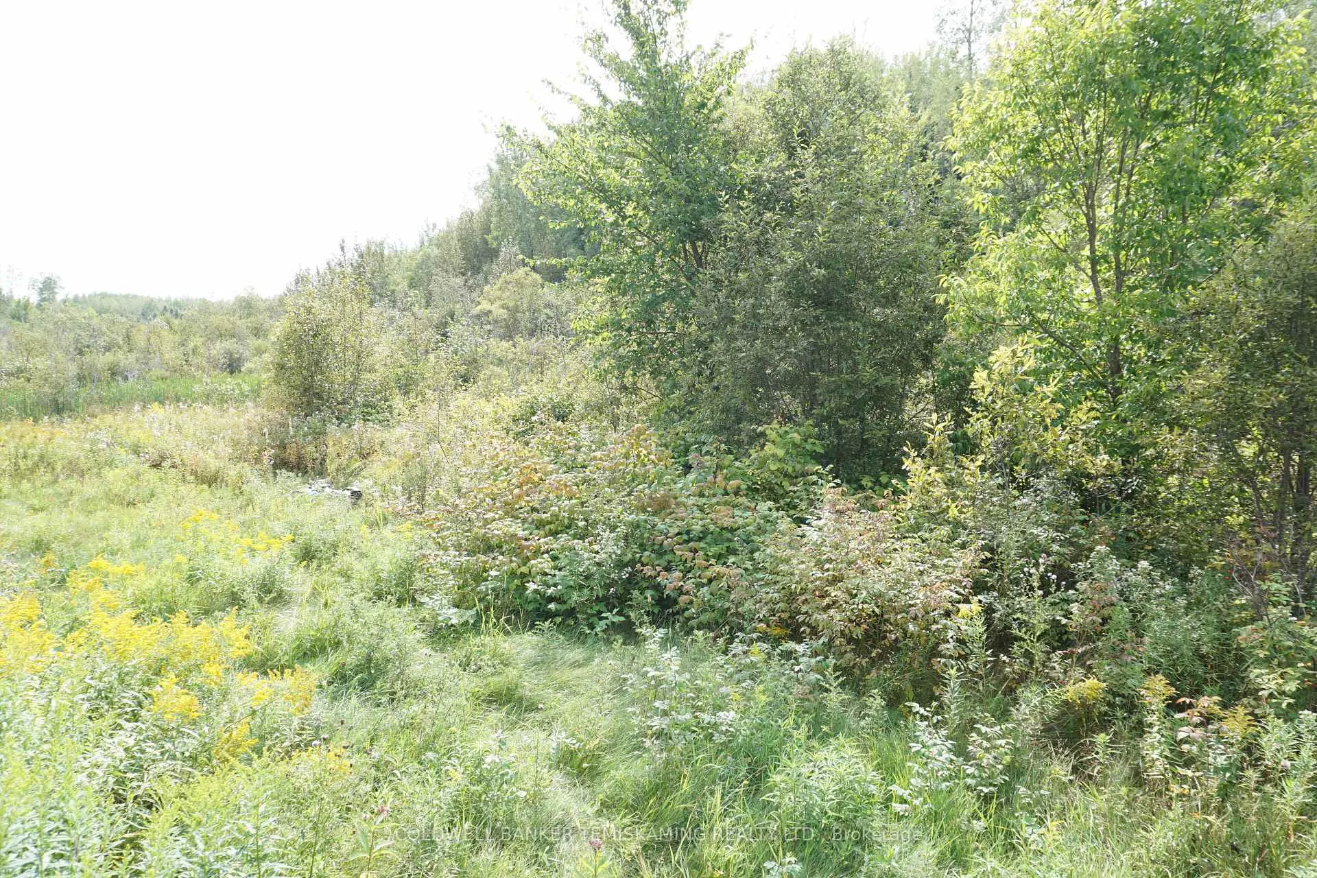 Photo 33 of Lot 1 Campbell'S Road, Timiskaming, TIM - Outside - Rural — HOMEH