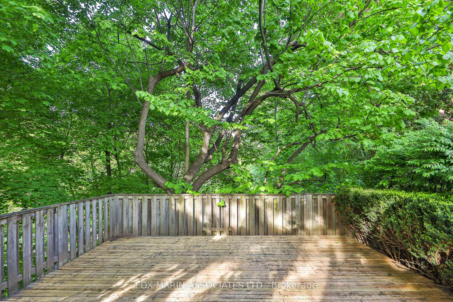 Photo 46 of 66 Heath Street E, Toronto, Rosedale-Moore Park — HOMEH
