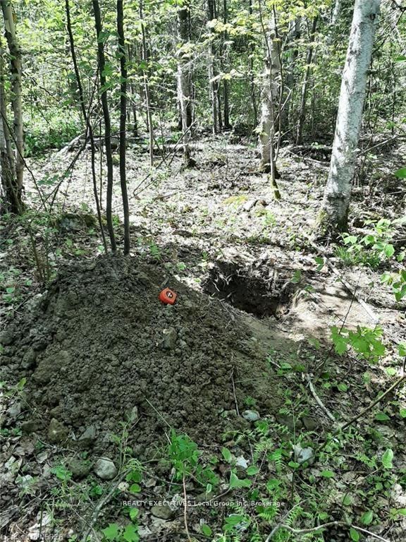 Photo 5 of PT LOT 19 Concession 4, Timiskaming, TIM - Outside - Rural — HOMEH