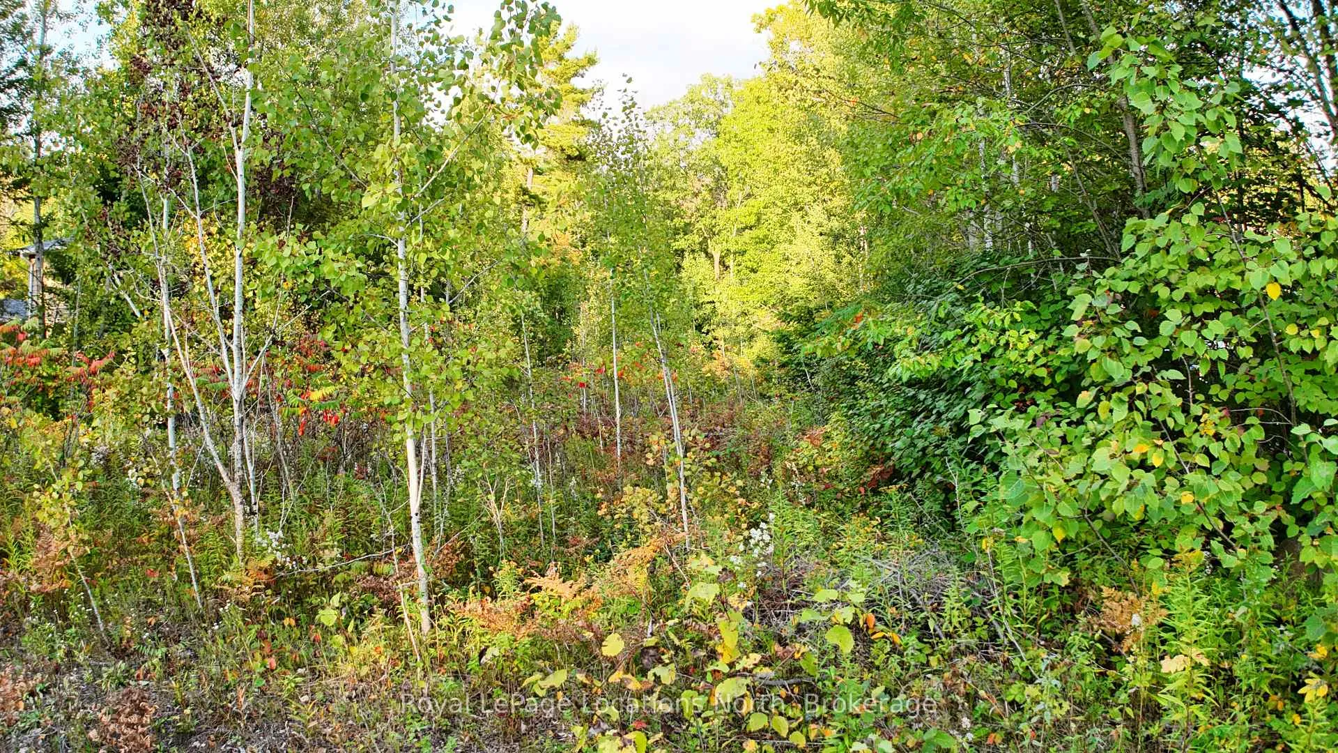 Photo 1 of LOT 17 Ronald Avenue, Tiny, Rural Tiny — HOMEH
