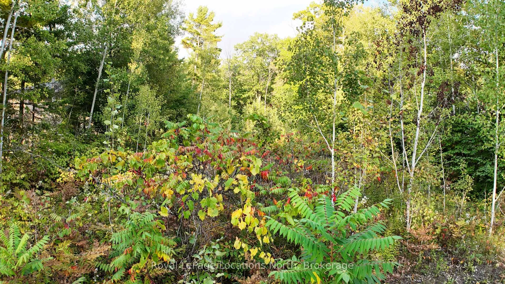 Photo 10 of LOT 17 Ronald Avenue, Tiny, Rural Tiny — HOMEH