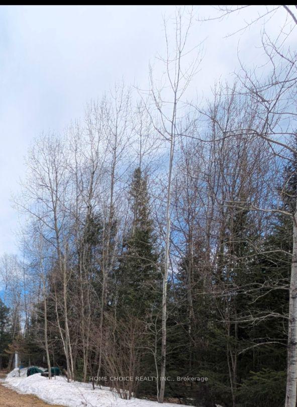 Photo 1 of 394/395 Hillview Street, Timiskaming, TIM - Outside - Rural — HOMEH