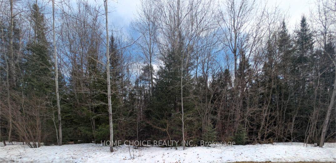 Photo 2 of 394/395 Hillview Street, Timiskaming, TIM - Outside - Rural — HOMEH