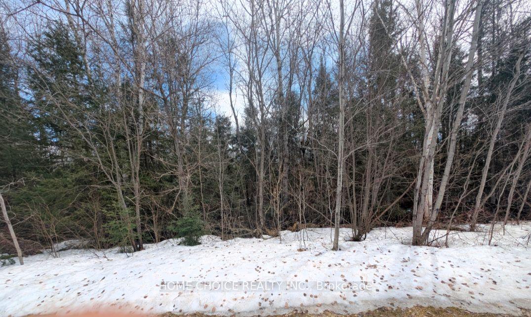 Photo 3 of 394/395 Hillview Street, Timiskaming, TIM - Outside - Rural — HOMEH
