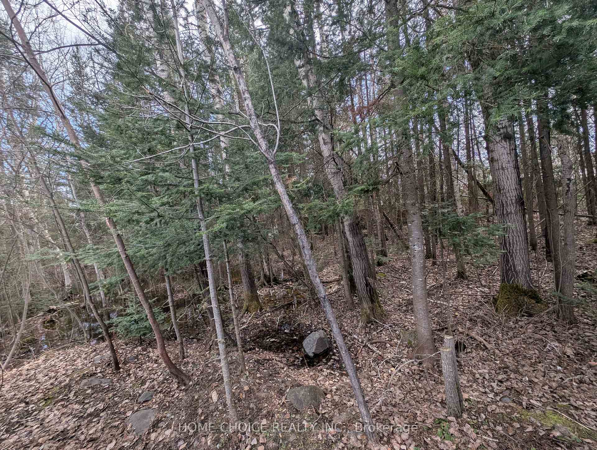 Photo 5 of 394/395 Hillview Street, Timiskaming, TIM - Outside - Rural — HOMEH