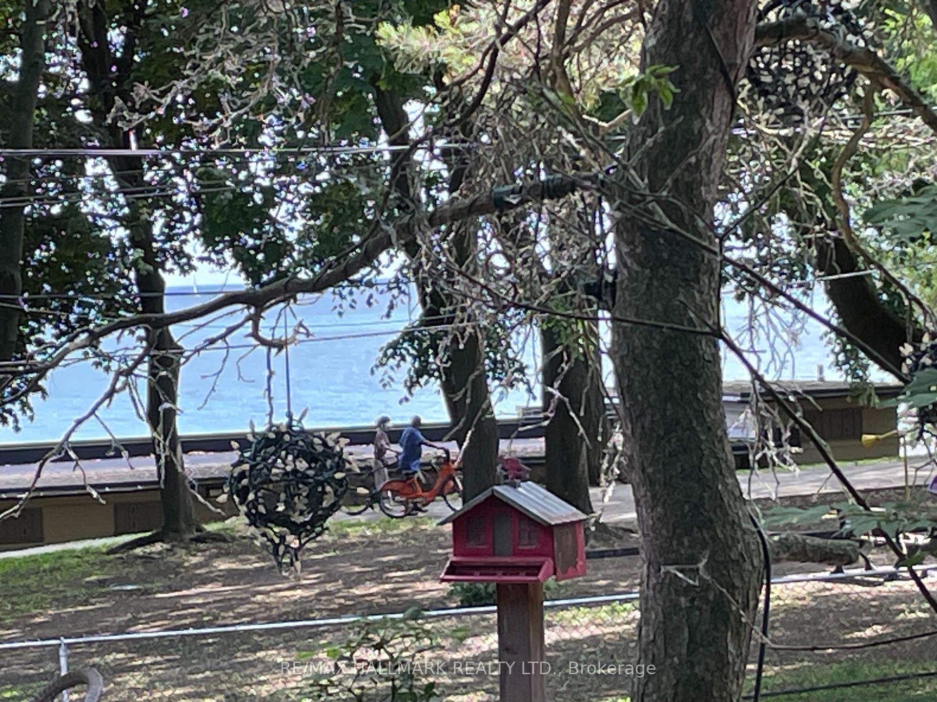 Photo 4 of 8 Silver Birch Avenue, Toronto, The Beaches — HOMEH