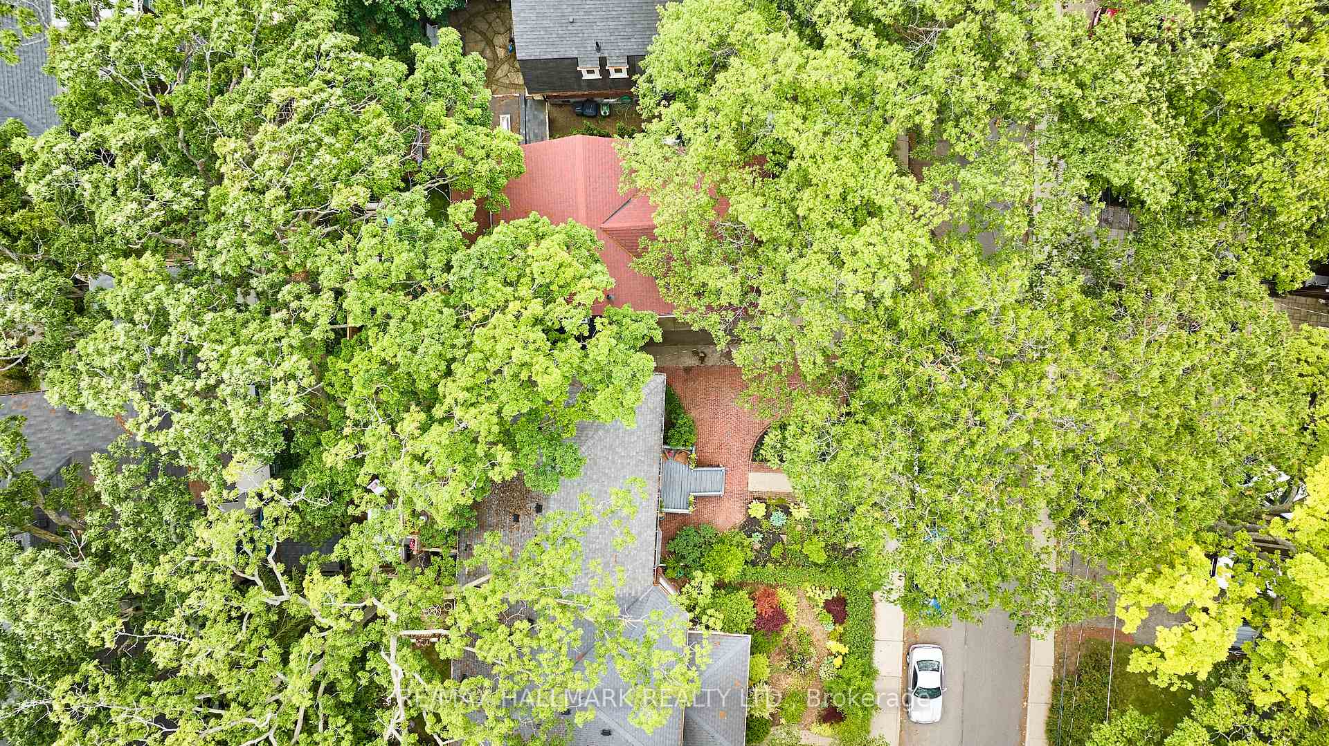 Photo 46 of 183 Balsam Avenue, Toronto, The Beaches — HOMEH