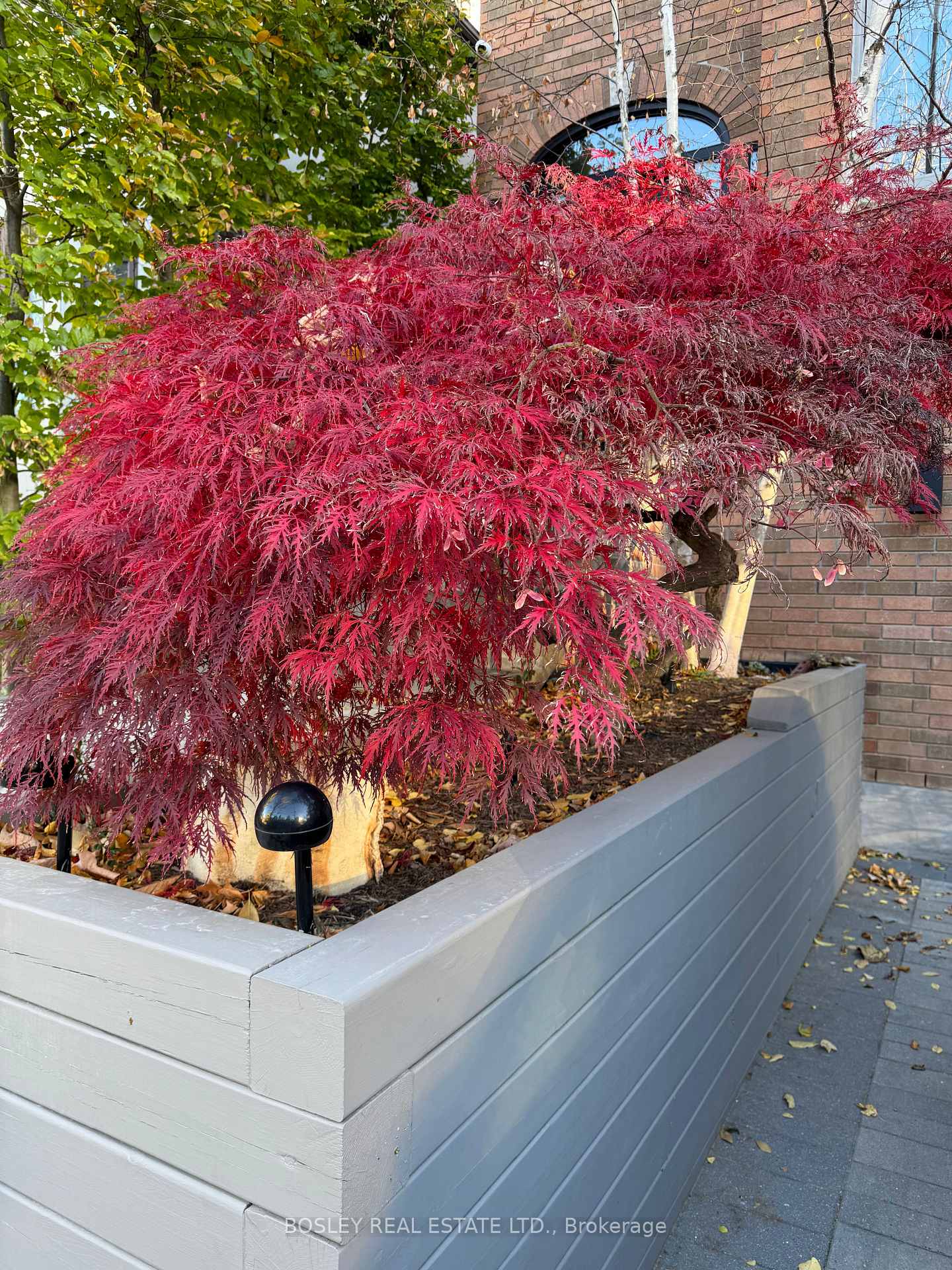 Photo 44 of 17 Cardiff Road, Toronto, Mount Pleasant East — HOMEH