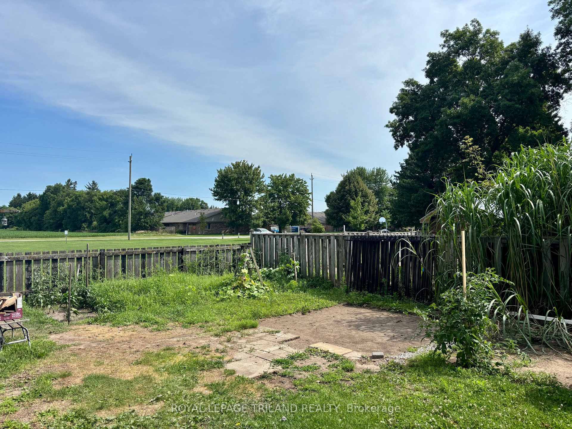 Photo 26 of 481 Maple Street, Strathroy-Caradoc, NW — HOMEH