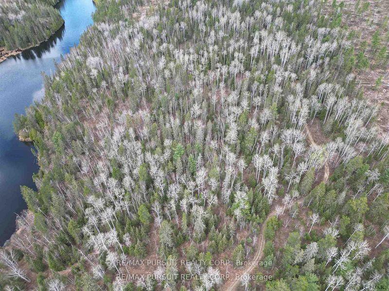 Photo 10 of PCL3205 Cairo, Timiskaming, TIM - Outside - Rural — HOMEH