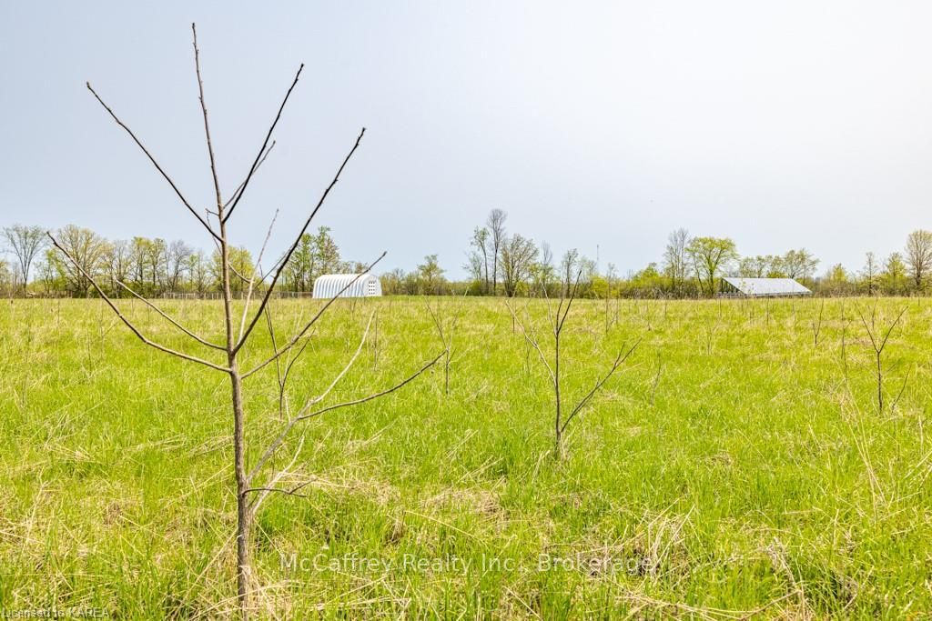 Photo 13 of 2525 County Road 14, Stone Mills — HOMEH