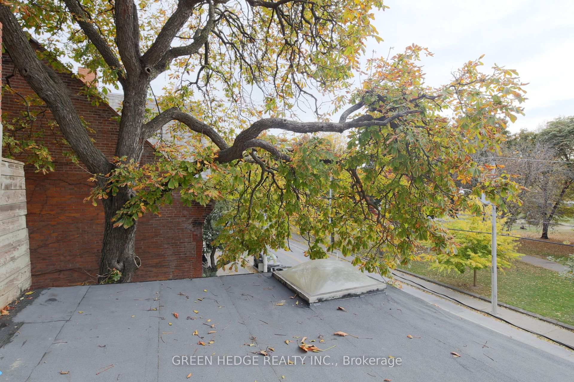 Photo 19 of 207 George Street, Toronto, Moss Park — HOMEH