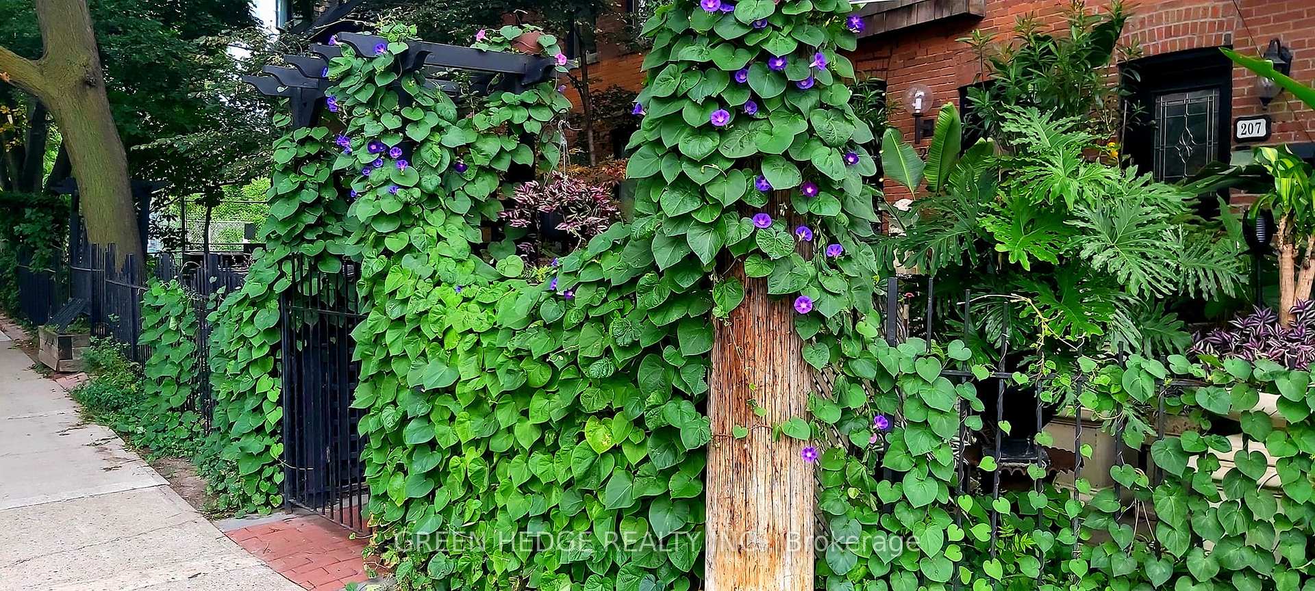 Photo 25 of 207 George Street, Toronto, Moss Park — HOMEH