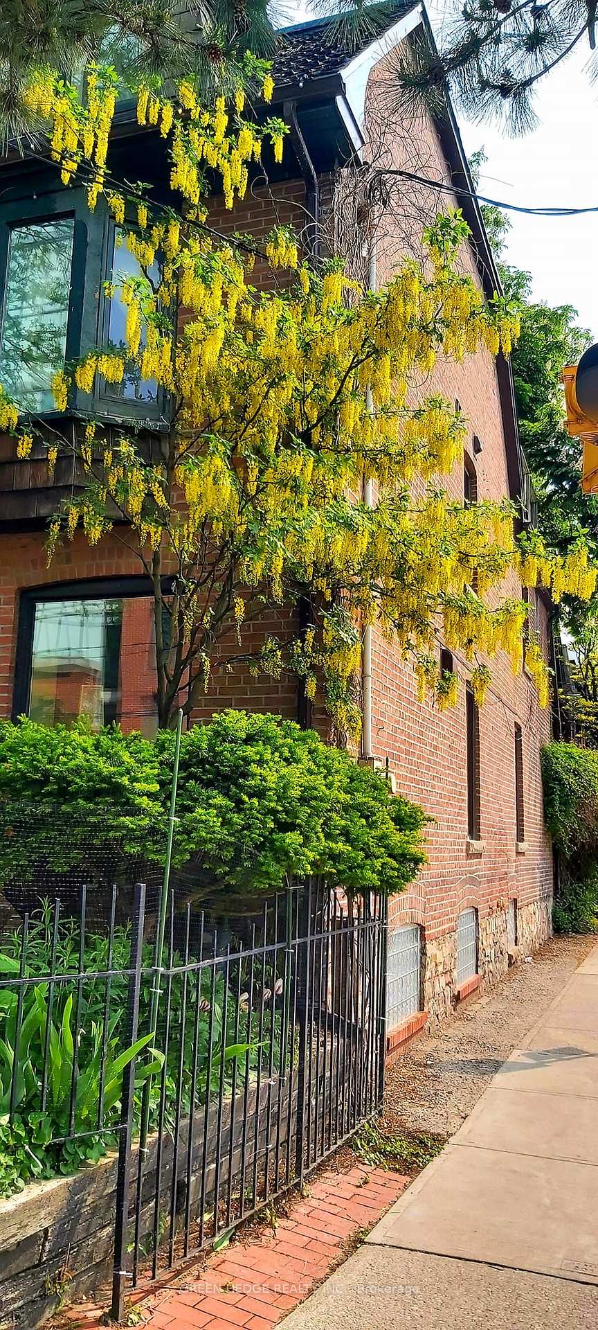 Photo 26 of 207 George Street, Toronto, Moss Park — HOMEH