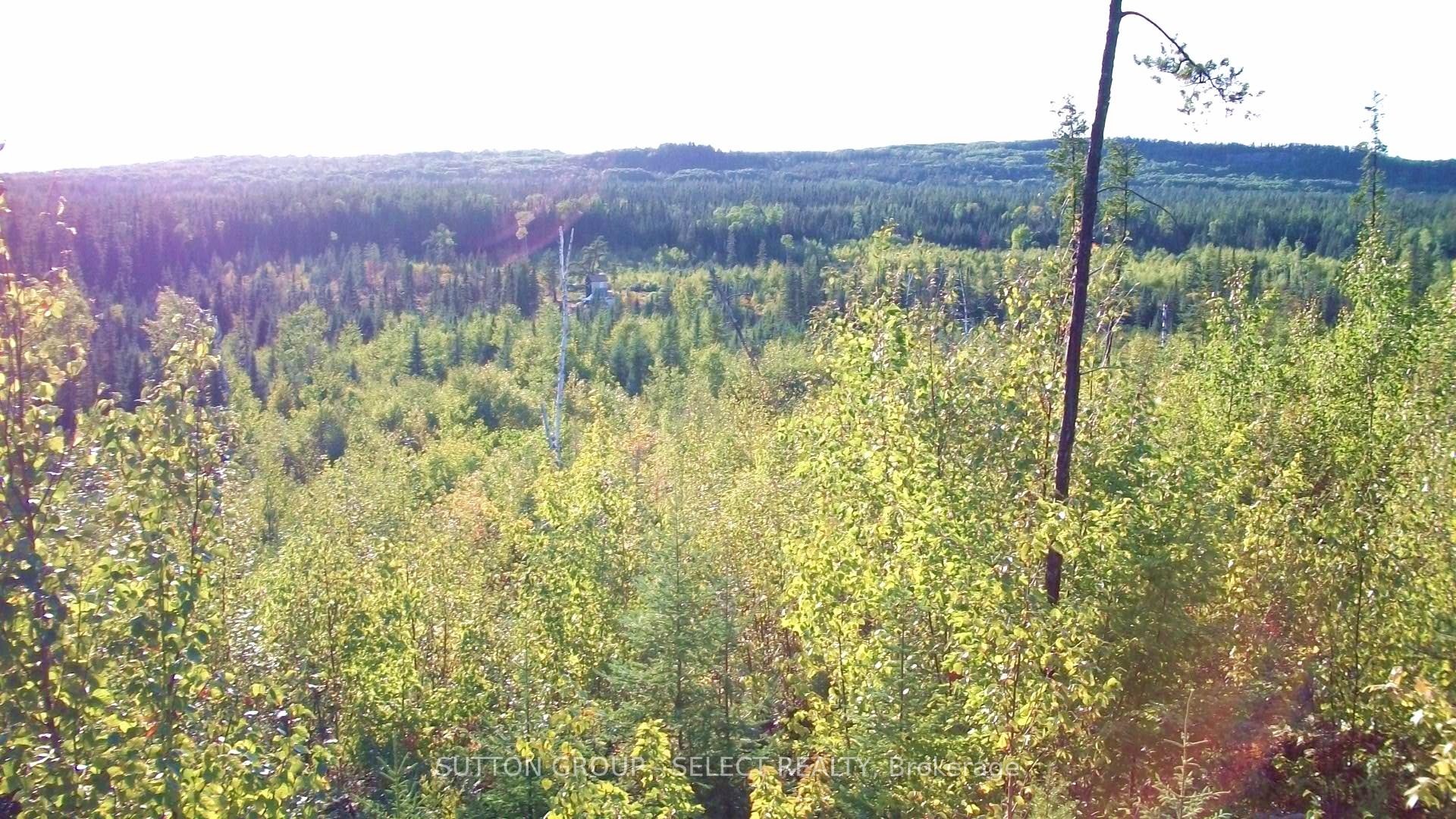 Photo 8 of LOT 5 Con 1 Road, Timiskaming, TIM - Outside - Rural — HOMEH