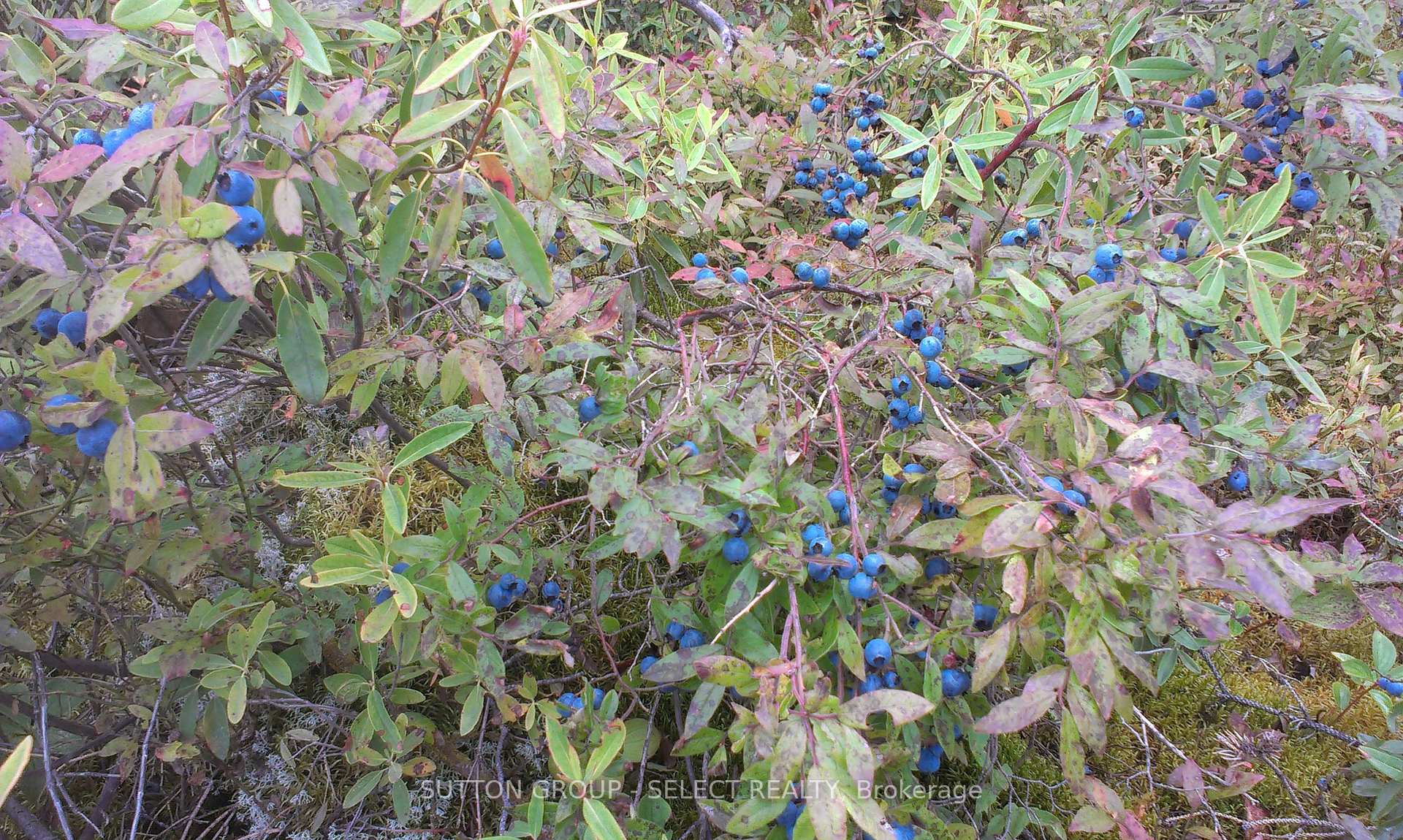 Photo 9 of LOT 5 Con 1 Road, Timiskaming, TIM - Outside - Rural — HOMEH
