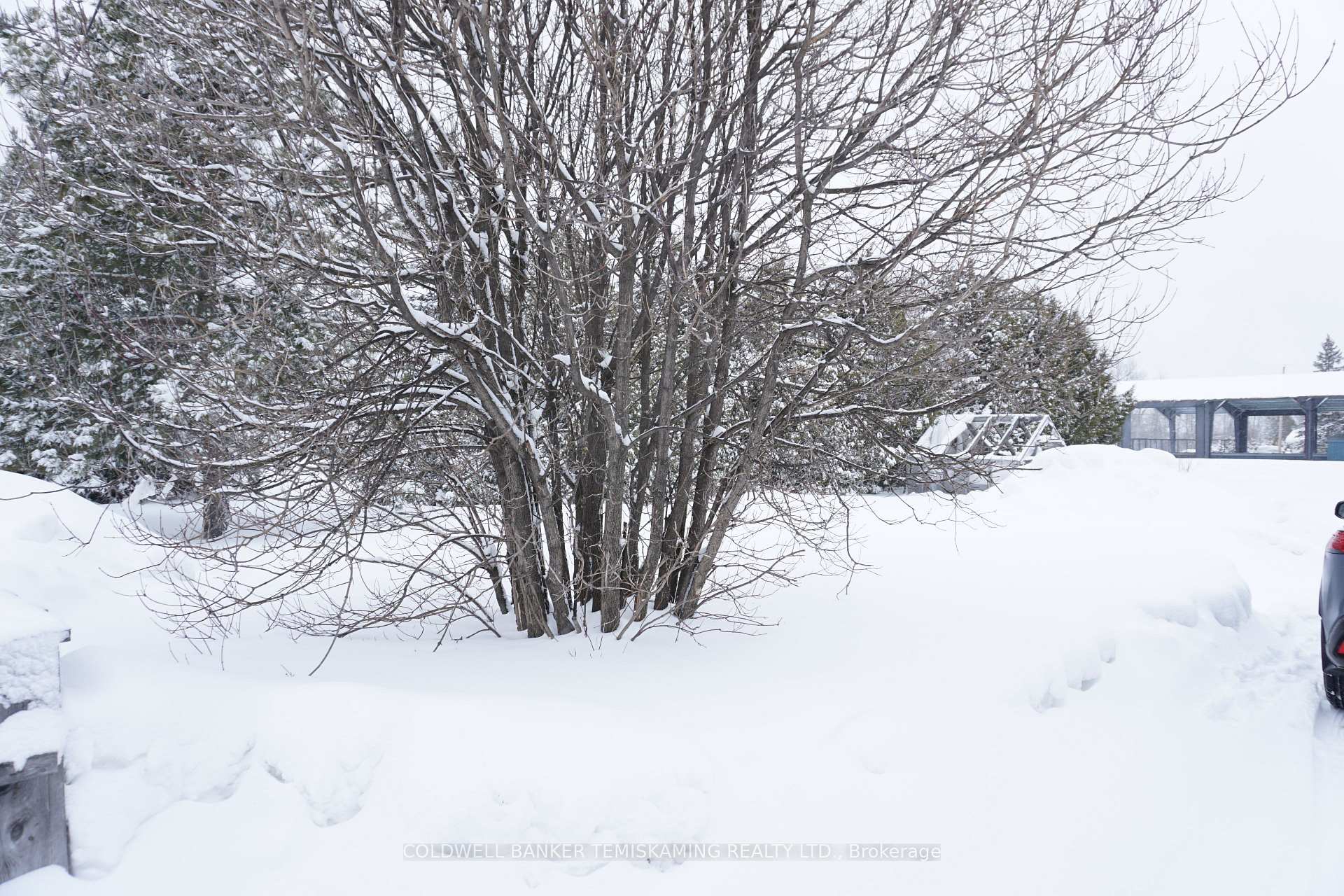 Photo 10 of 12 Fifth Street W, Timiskaming, TIM - Outside - Rural — HOMEH