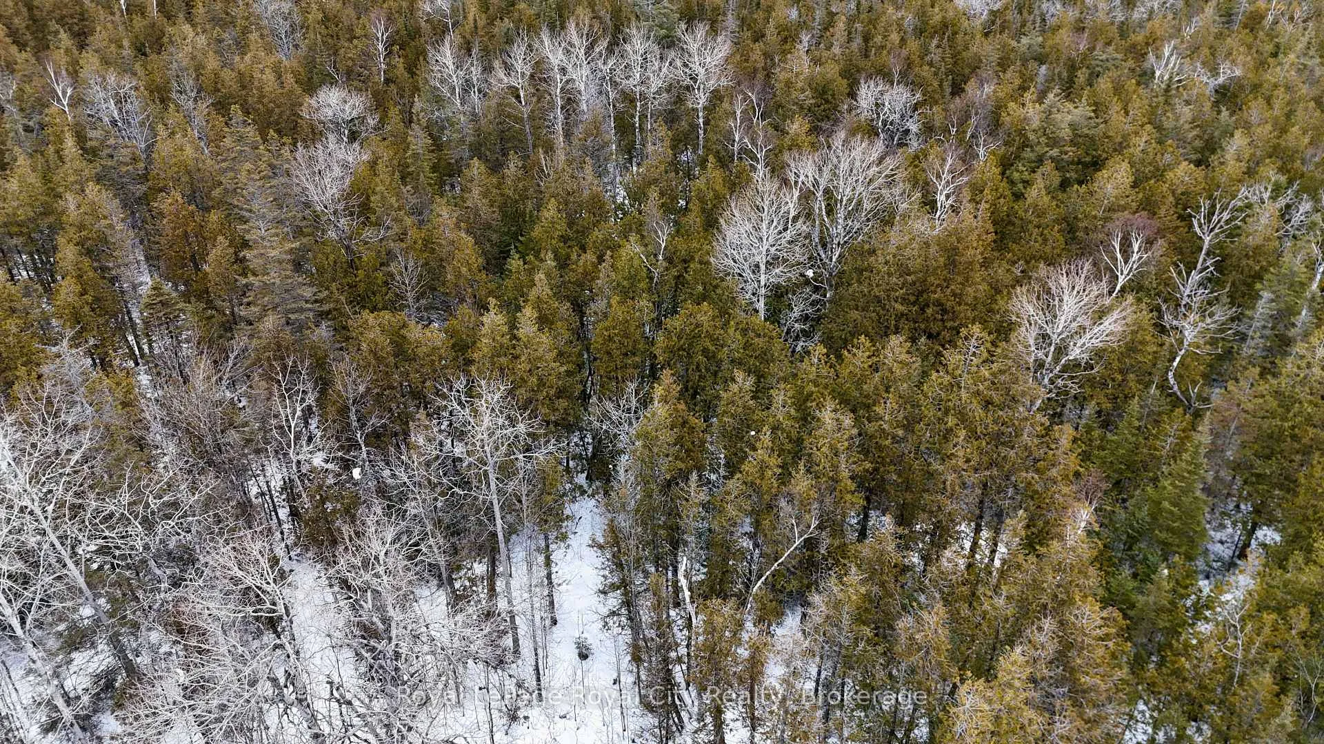Photo 30 of 4616 6 Highway, Northern Bruce Peninsula — HOMEH