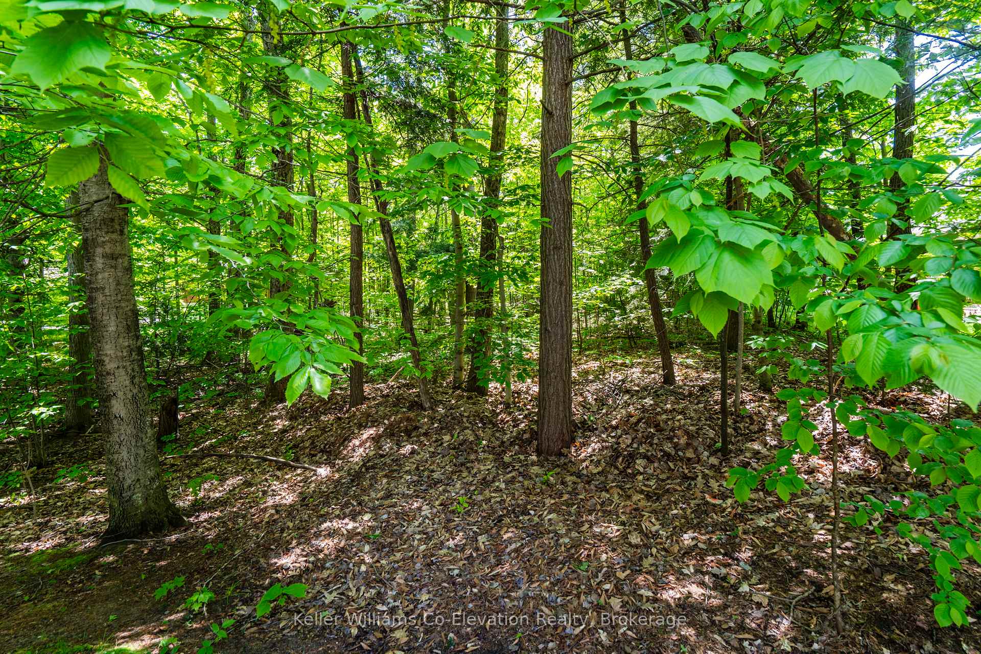 Photo 23 of 134 Tall Pines Drive, Tiny, Rural Tiny — HOMEH