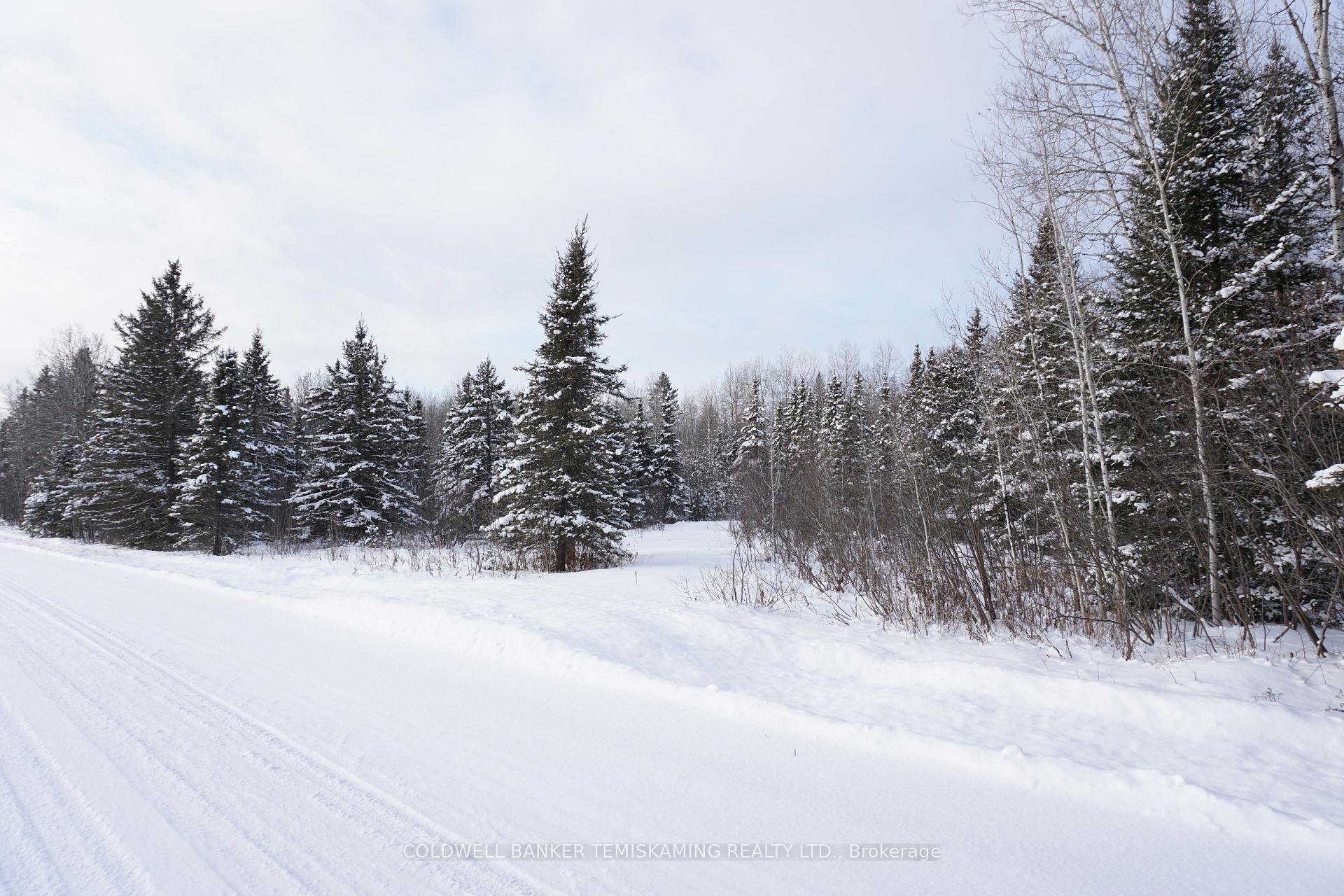 Photo 6 of LT3 C6 Barber Township Road, Timiskaming, TIM - Outside - Rural — HOMEH
