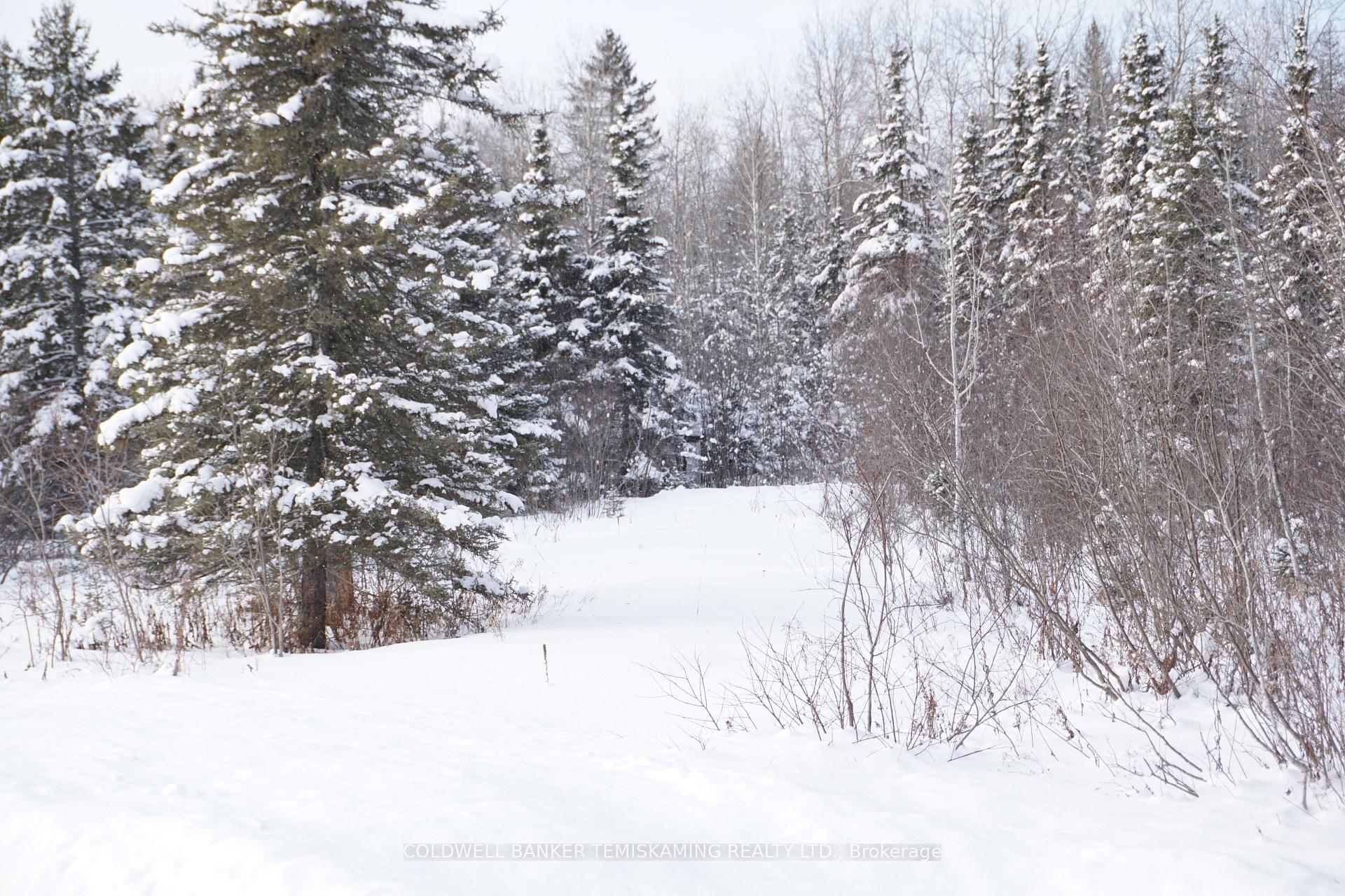 Photo 7 of LT3 C6 Barber Township Road, Timiskaming, TIM - Outside - Rural — HOMEH