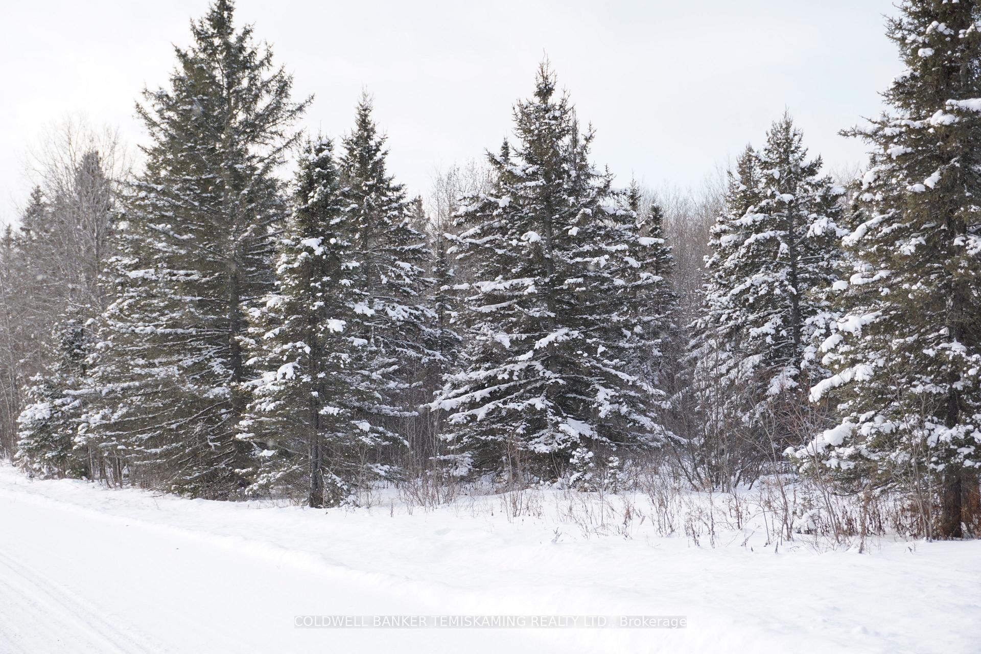 Photo 9 of LT3 C6 Barber Township Road, Timiskaming, TIM - Outside - Rural — HOMEH