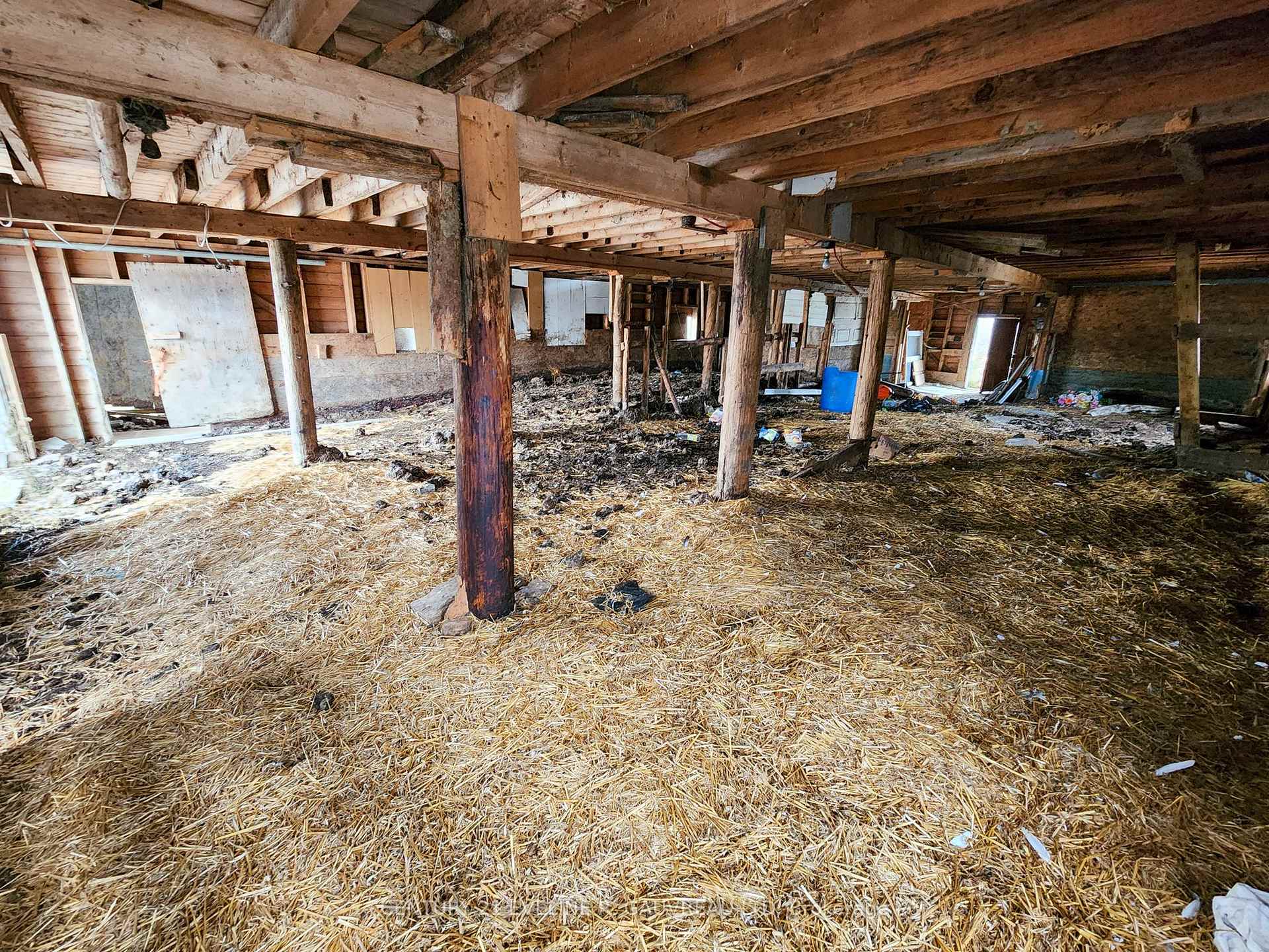 Photo 39 of 61225 Martel Road, Timiskaming, TIM - Outside - Rural — HOMEH