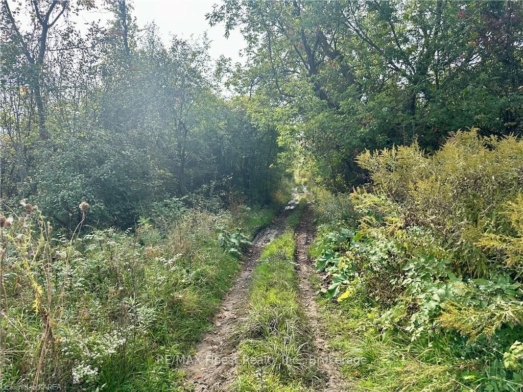 Photo 6 of PT LT G Concession Gore, Stone Mills — HOMEH