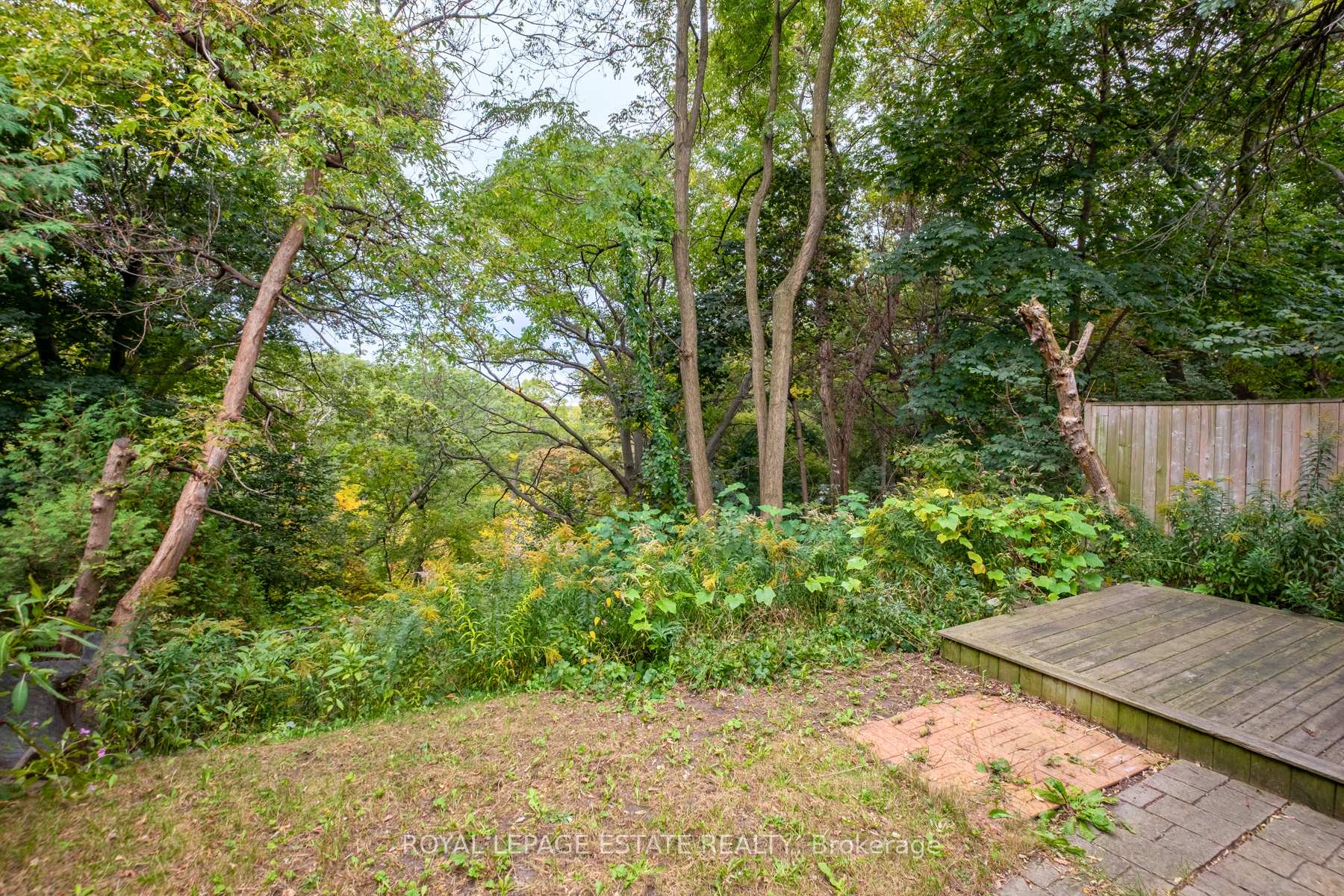 Photo 14 of Unit Bsmt, 767 Kingston Road, Toronto, The Beaches — HOMEH