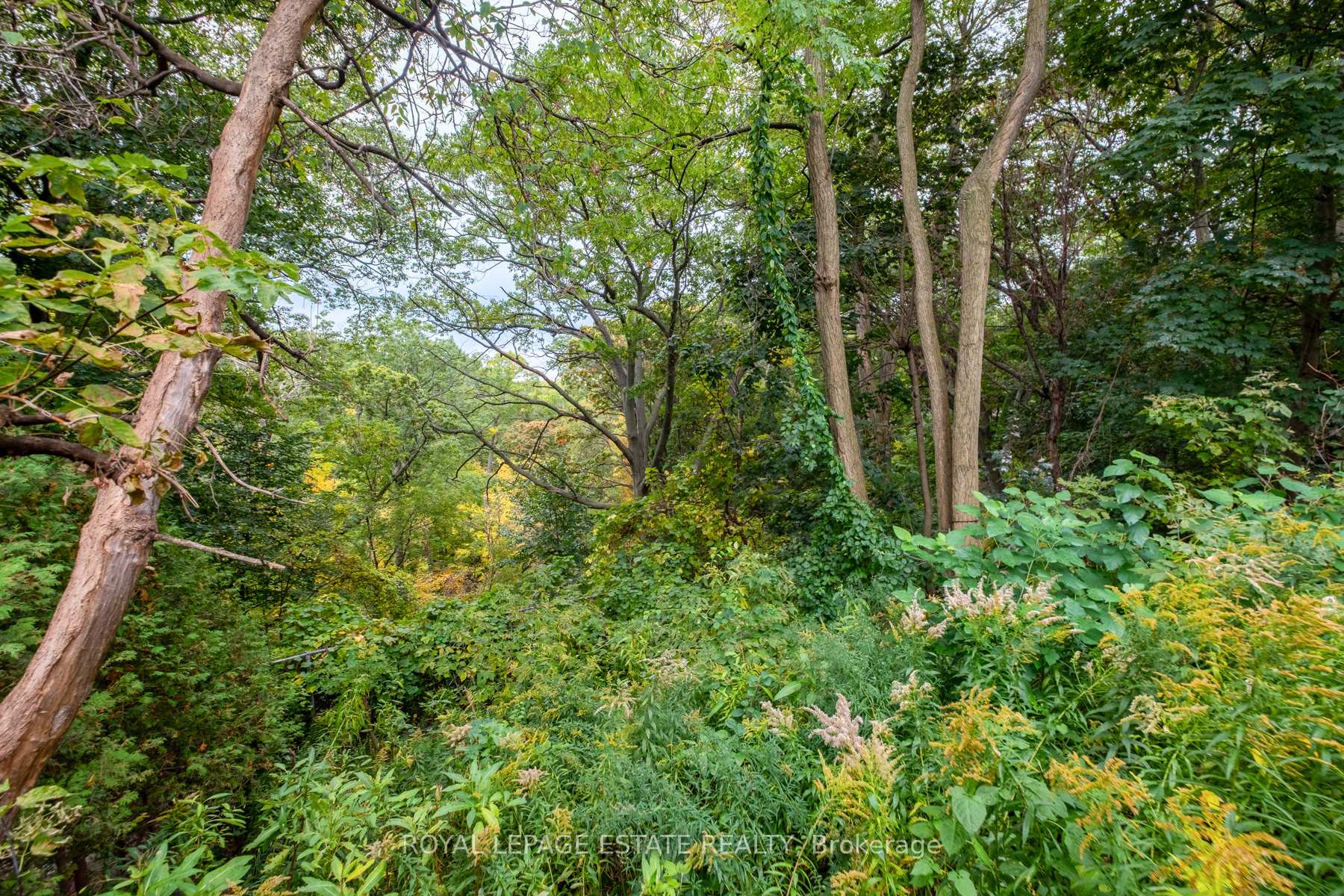 Photo 15 of Unit Bsmt, 767 Kingston Road, Toronto, The Beaches — HOMEH