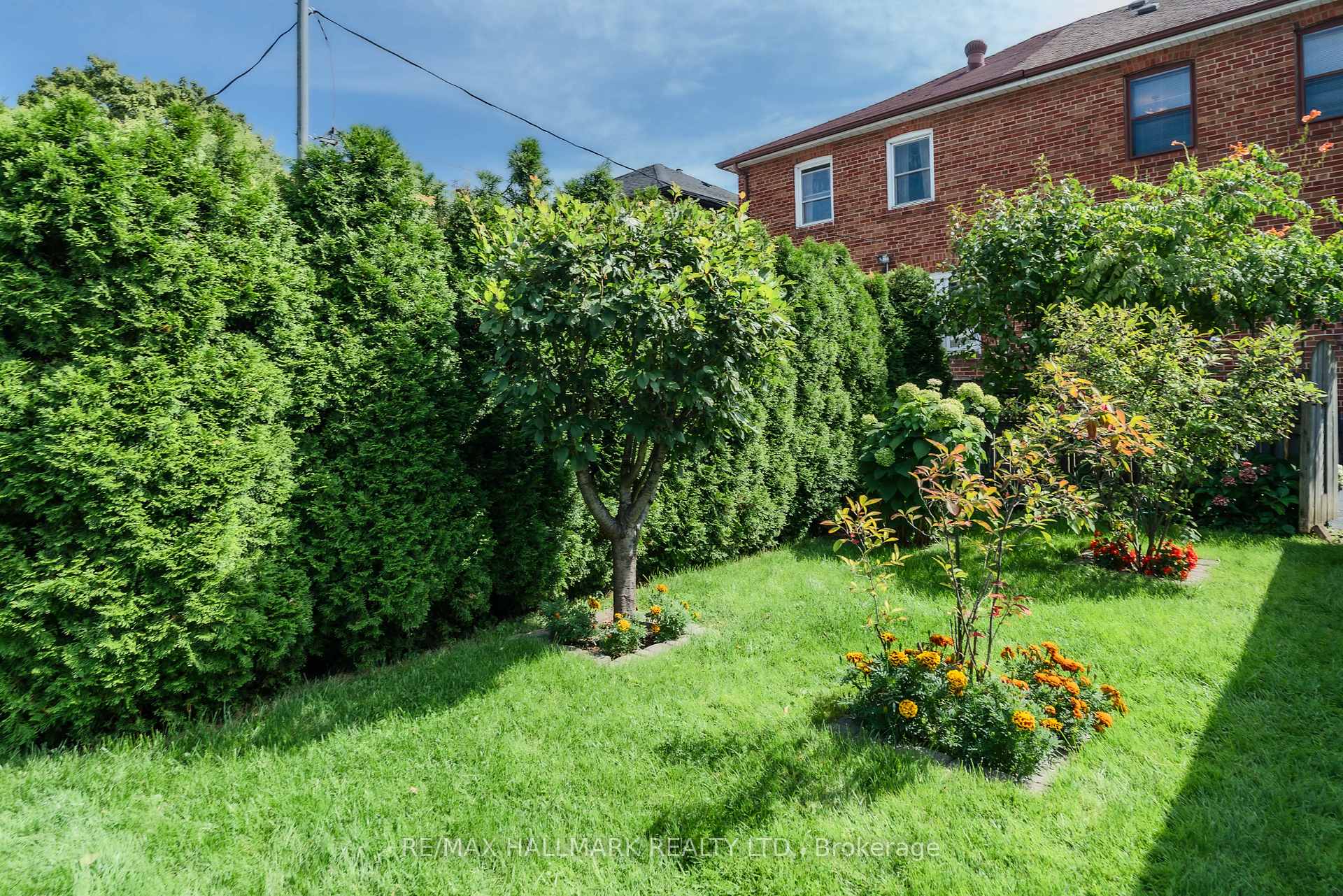 Photo 43 of 220 Browning Avenue, Toronto, Broadview North — HOMEH