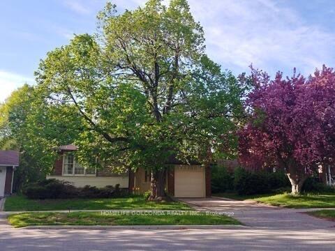 Photo 2 of Unit Basement, 40 Ravencliff Crescent, Scarborough, Tam O'Shanter-Sullivan — HOMEH