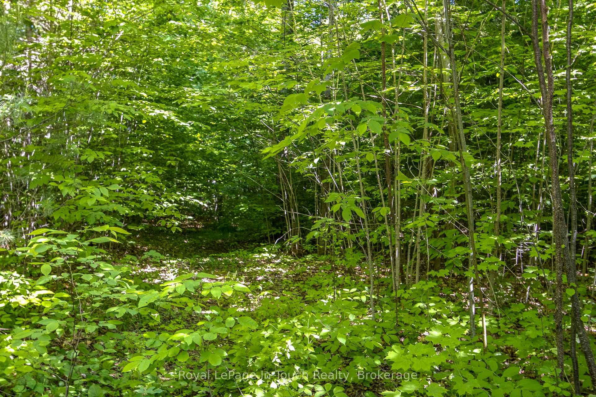 Photo 5 of Lot 23 Concession 17 Road W, Tiny, Rural Tiny — HOMEH