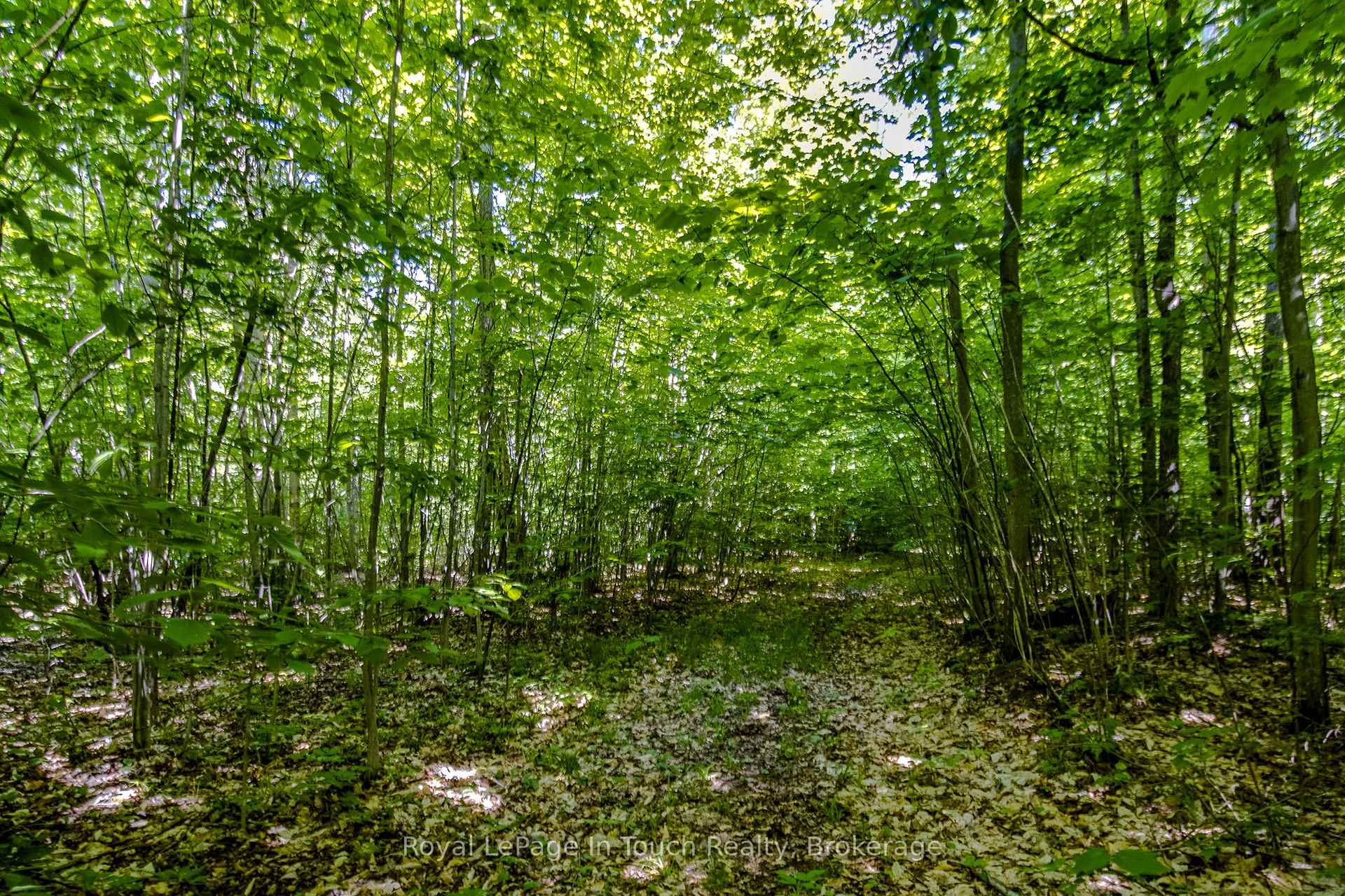Photo 7 of Lot 23 Concession 17 Road W, Tiny, Rural Tiny — HOMEH