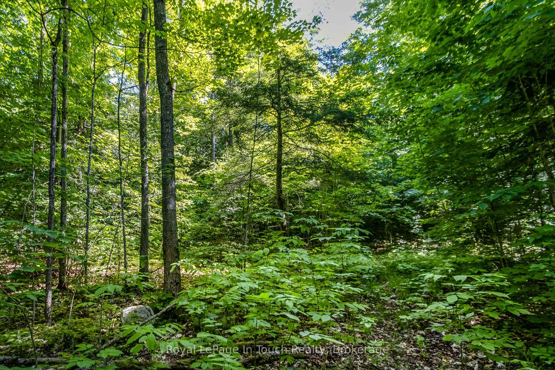 Photo 8 of Lot 23 Concession 17 Road W, Tiny, Rural Tiny — HOMEH