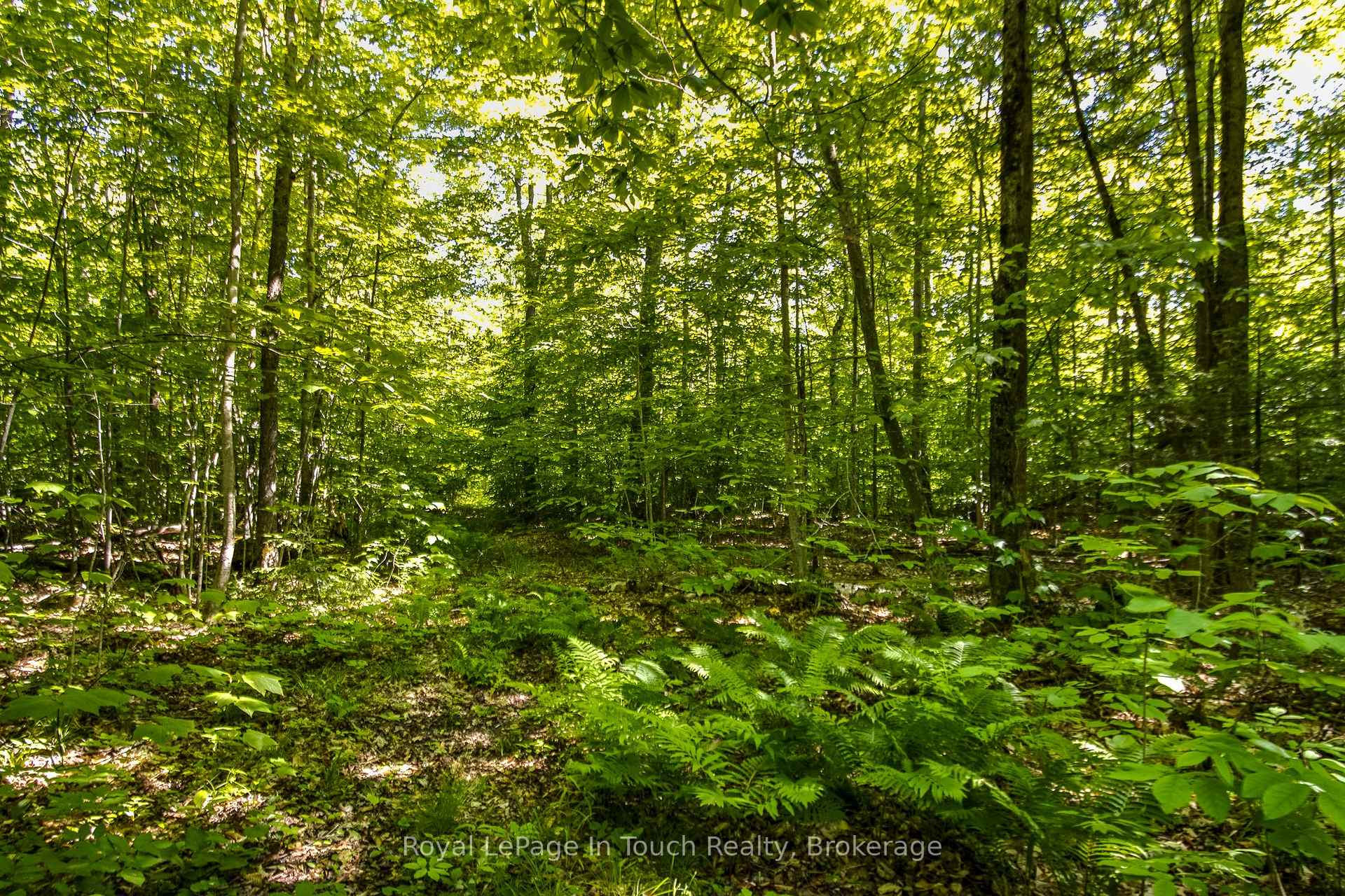 Photo 9 of Lot 23 Concession 17 Road W, Tiny, Rural Tiny — HOMEH