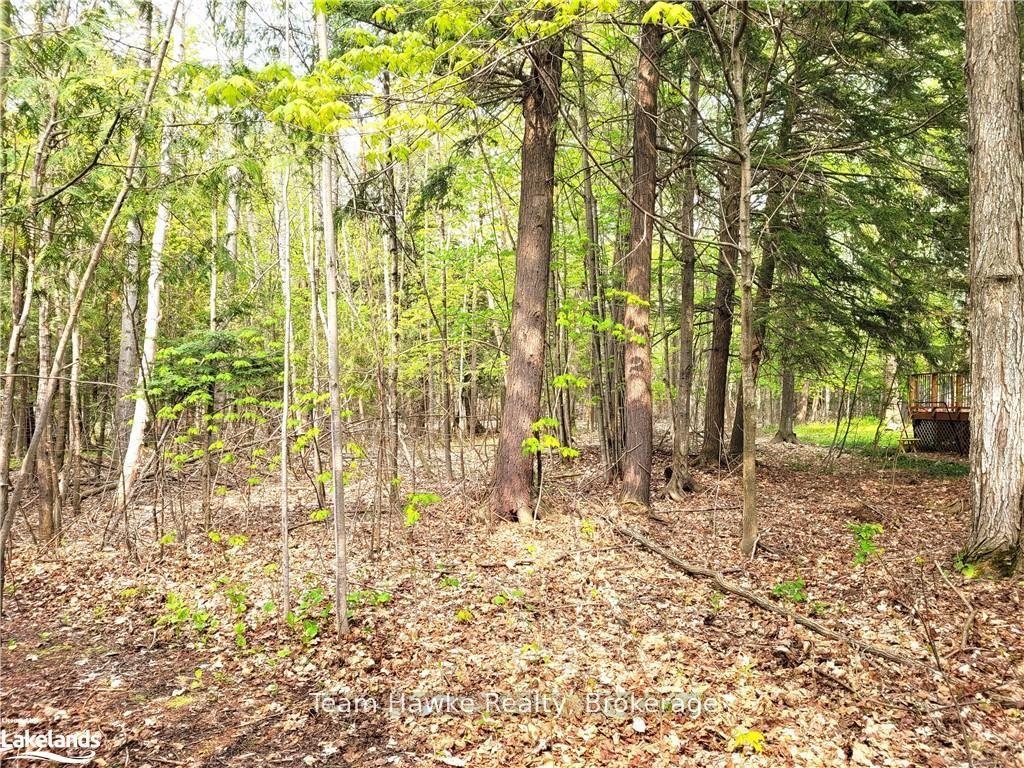 Photo 2 of LOT 504 Seneca Crescent, Tiny, Rural Tiny — HOMEH