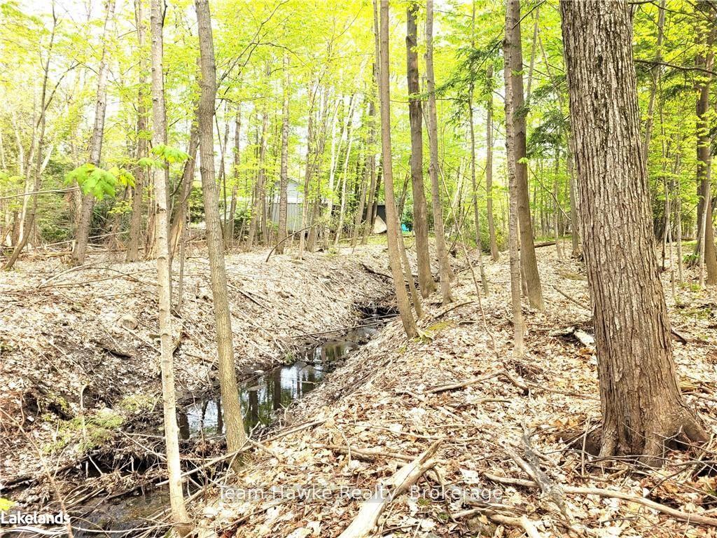 Photo 3 of LOT 504 Seneca Crescent, Tiny, Rural Tiny — HOMEH