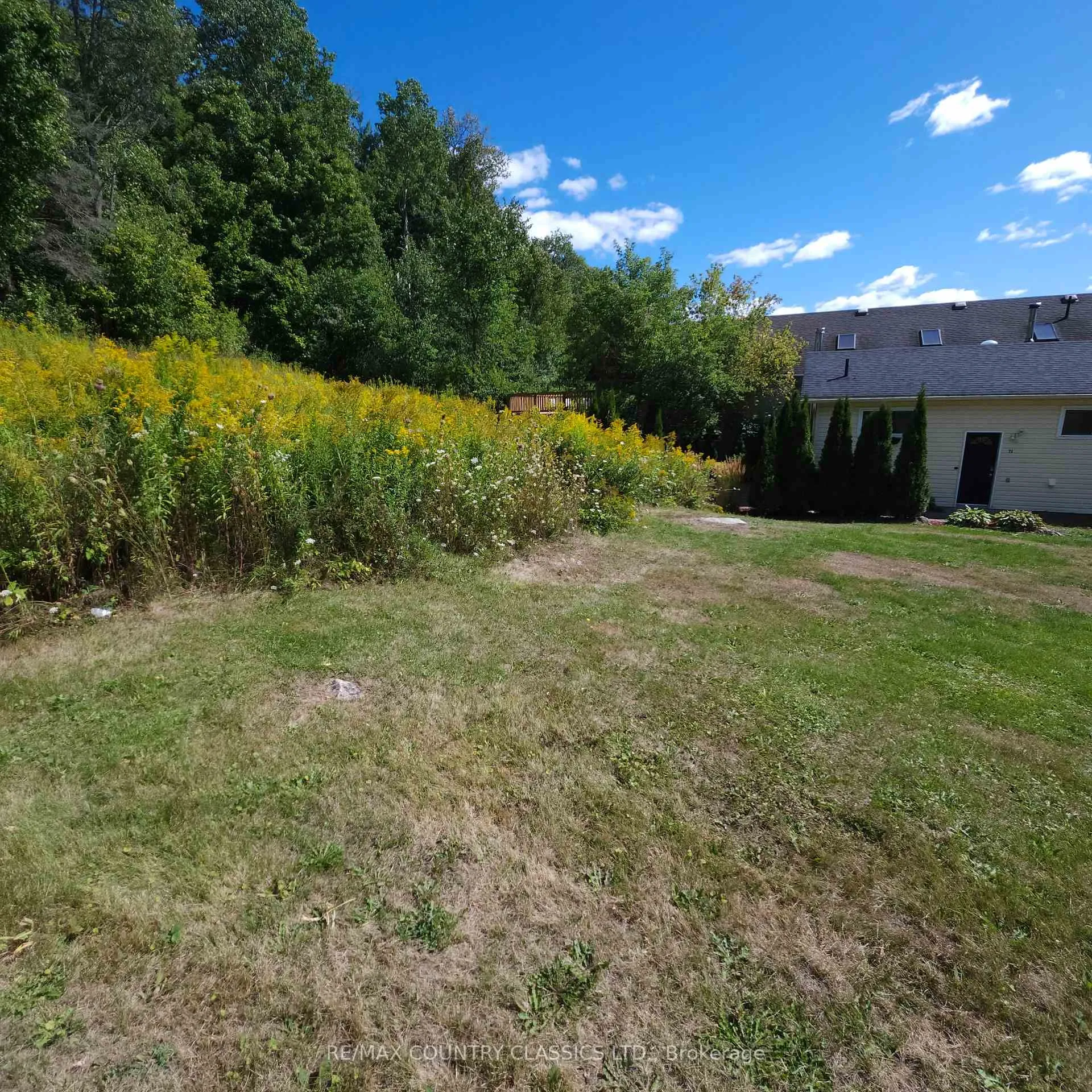 Photo 9 of 71 & 73 Cleak Avenue, Bancroft, Bancroft Ward — HOMEH
