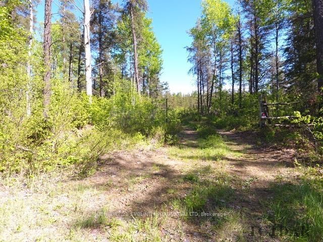 Photo 2 of Airport Road, Timiskaming, TIM - Outside - Rural — HOMEH