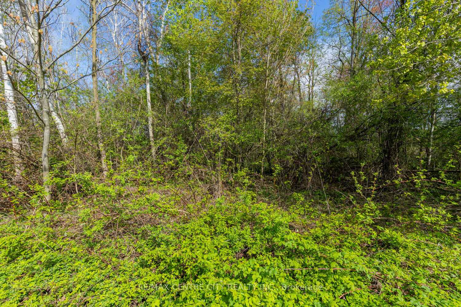 Photo 14 of 20938 Cherry Hill Road, Thames Centre, Rural Thames Centre — HOMEH