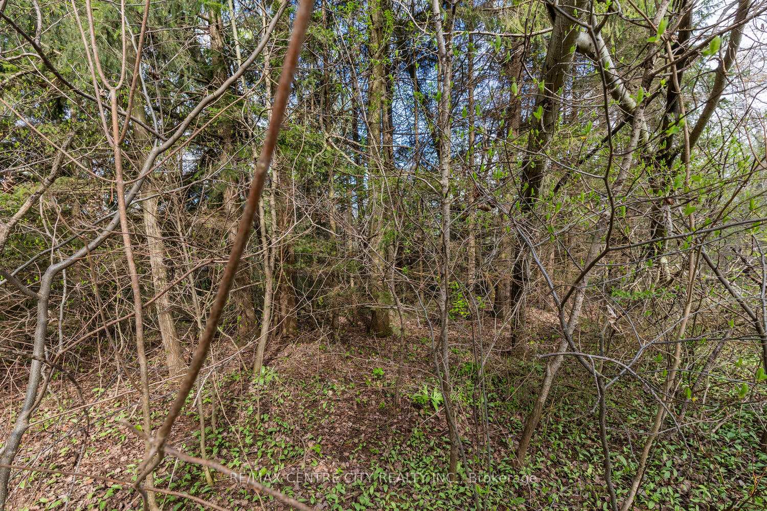 Photo 15 of 20938 Cherry Hill Road, Thames Centre, Rural Thames Centre — HOMEH