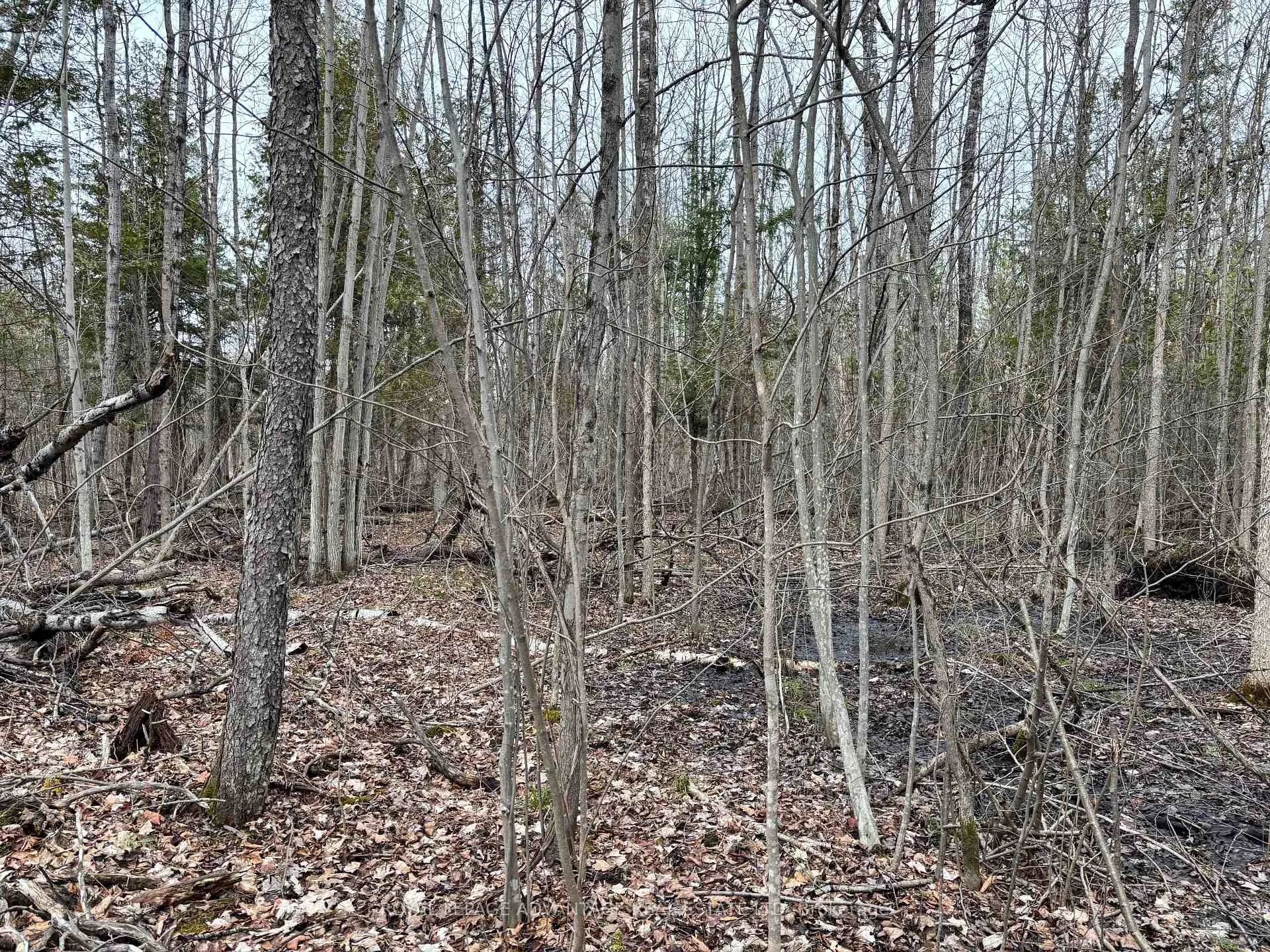 Photo 4 of Dixon Road, Augusta, Augusta Twp — HOMEH