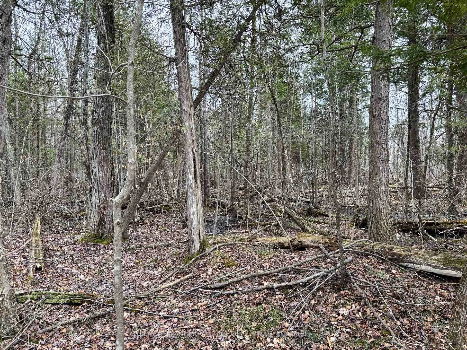 Photo 5 of Dixon Road, Augusta, Augusta Twp — HOMEH