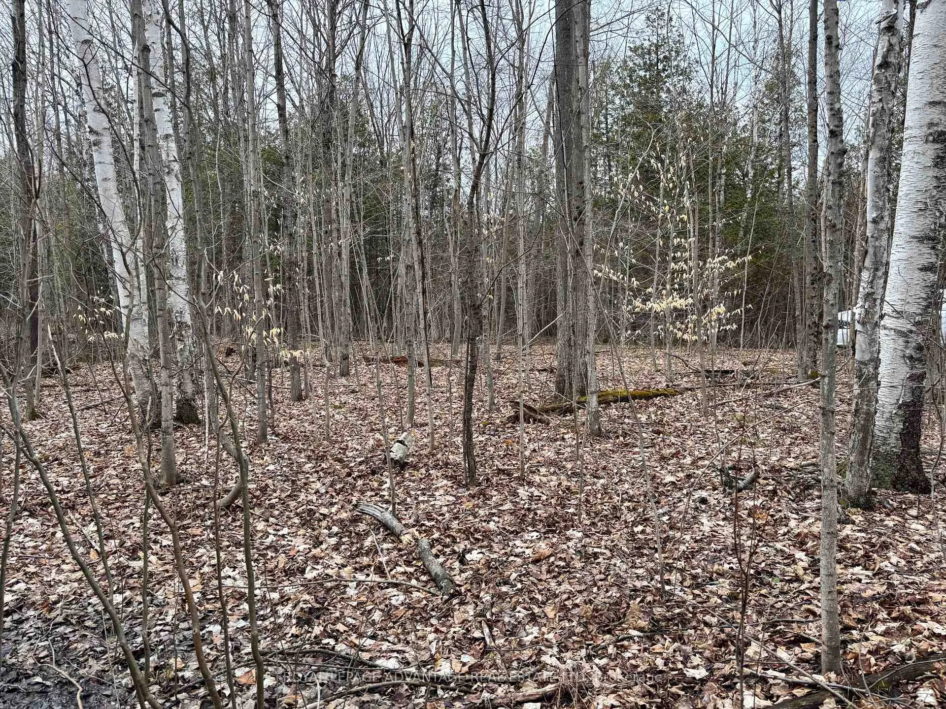 Photo 6 of Dixon Road, Augusta, Augusta Twp — HOMEH